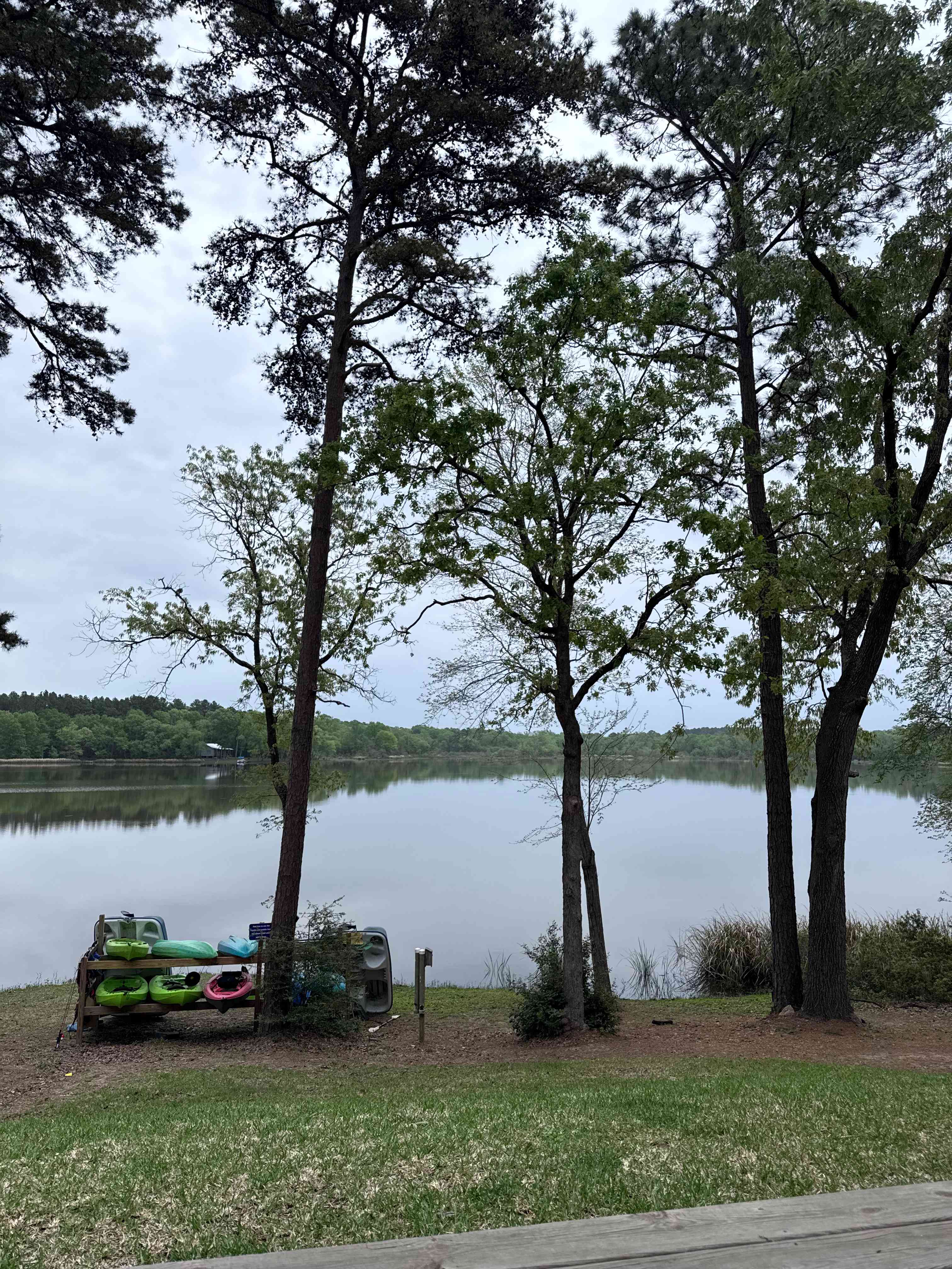 Cabins directly on the Lake