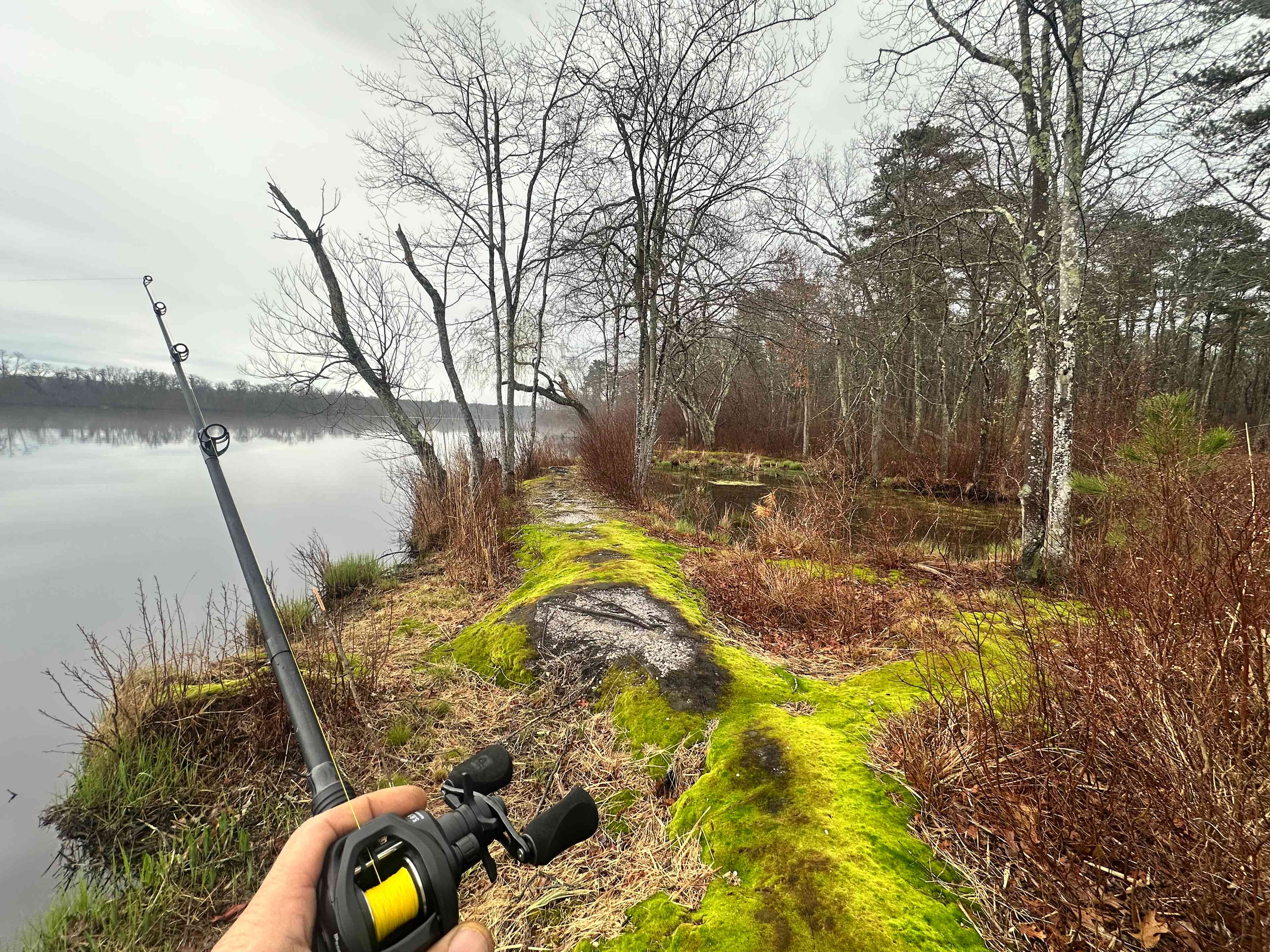 Bank fishing