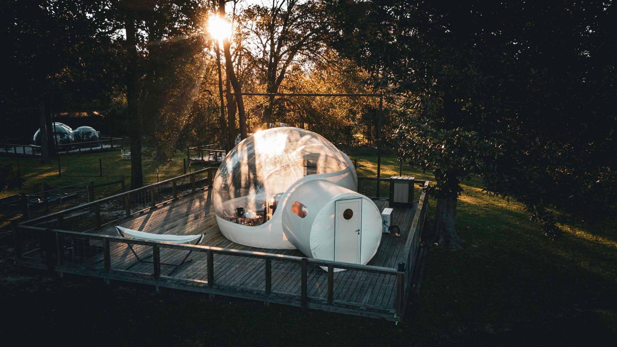 Unique Gorgeous Bubble