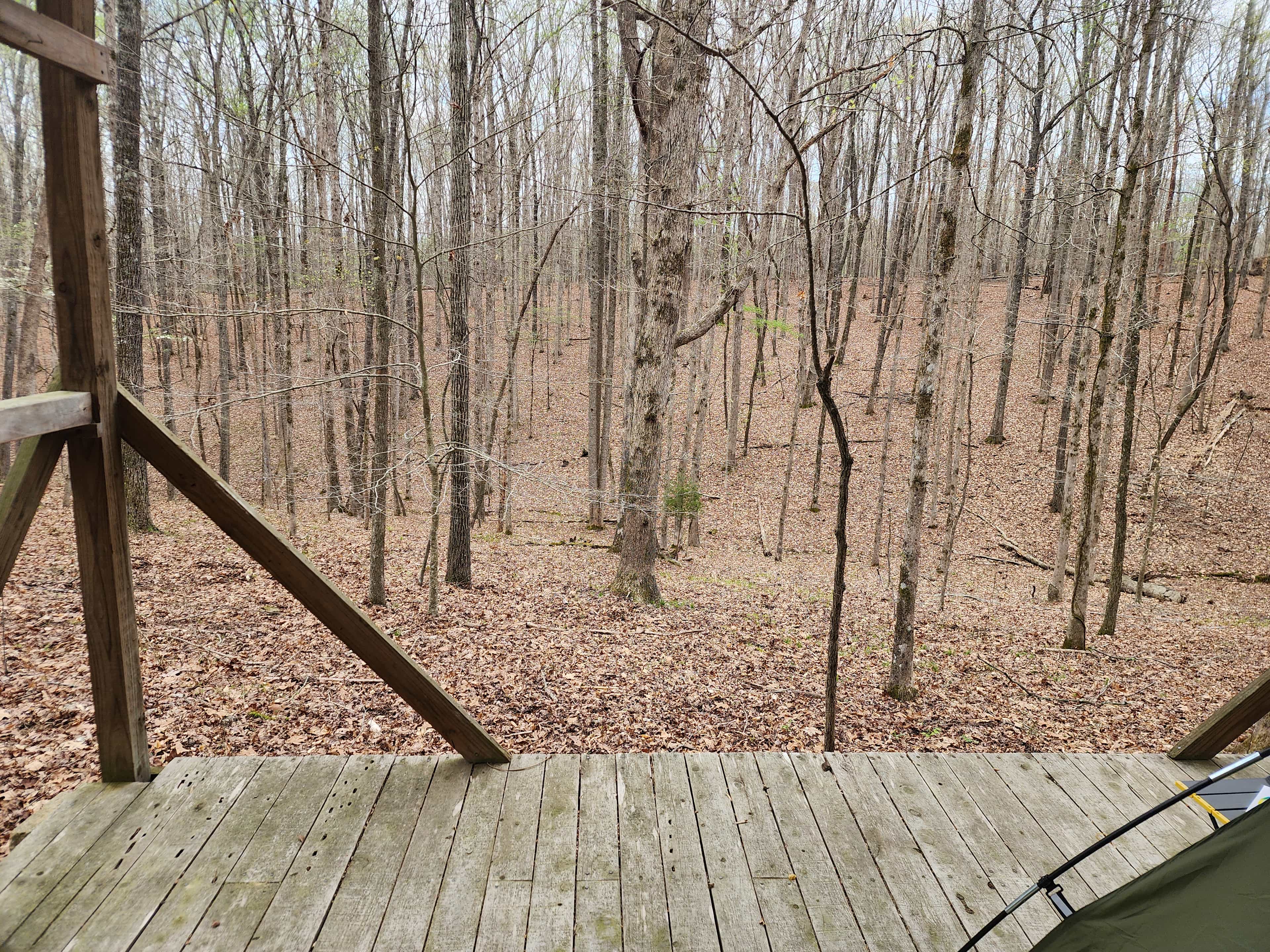 Hoot Owl Hollow Campground