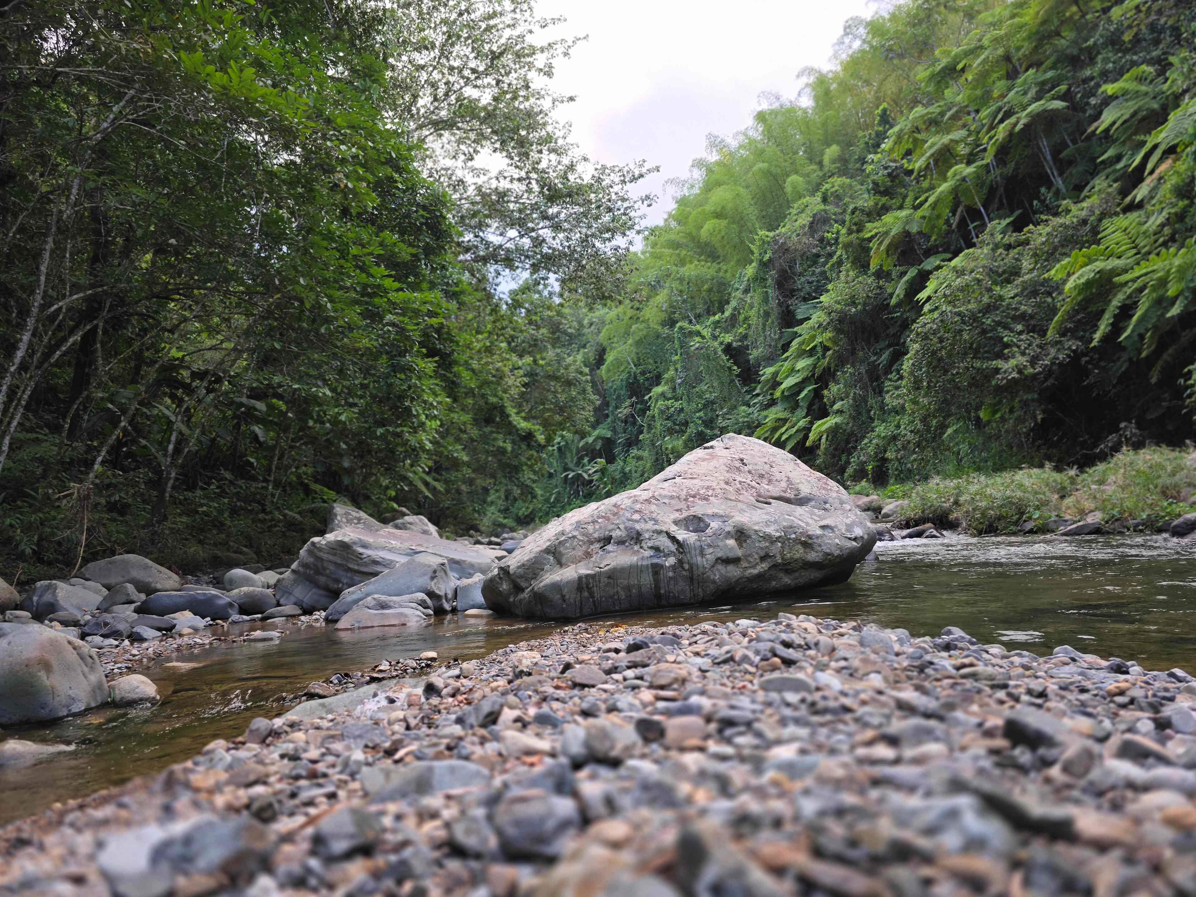 Finca Sajorí