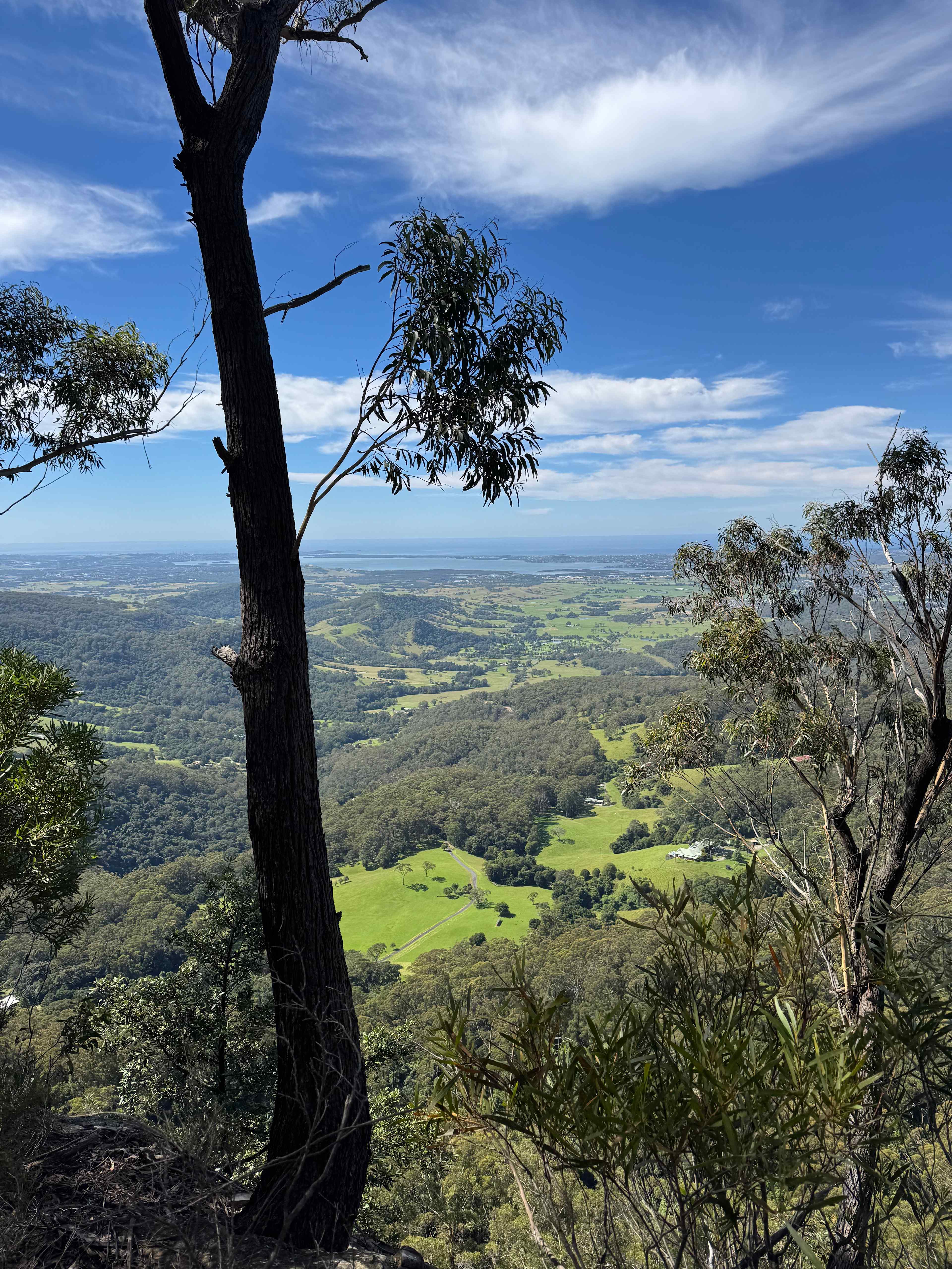 Top of the hike trail in the property 