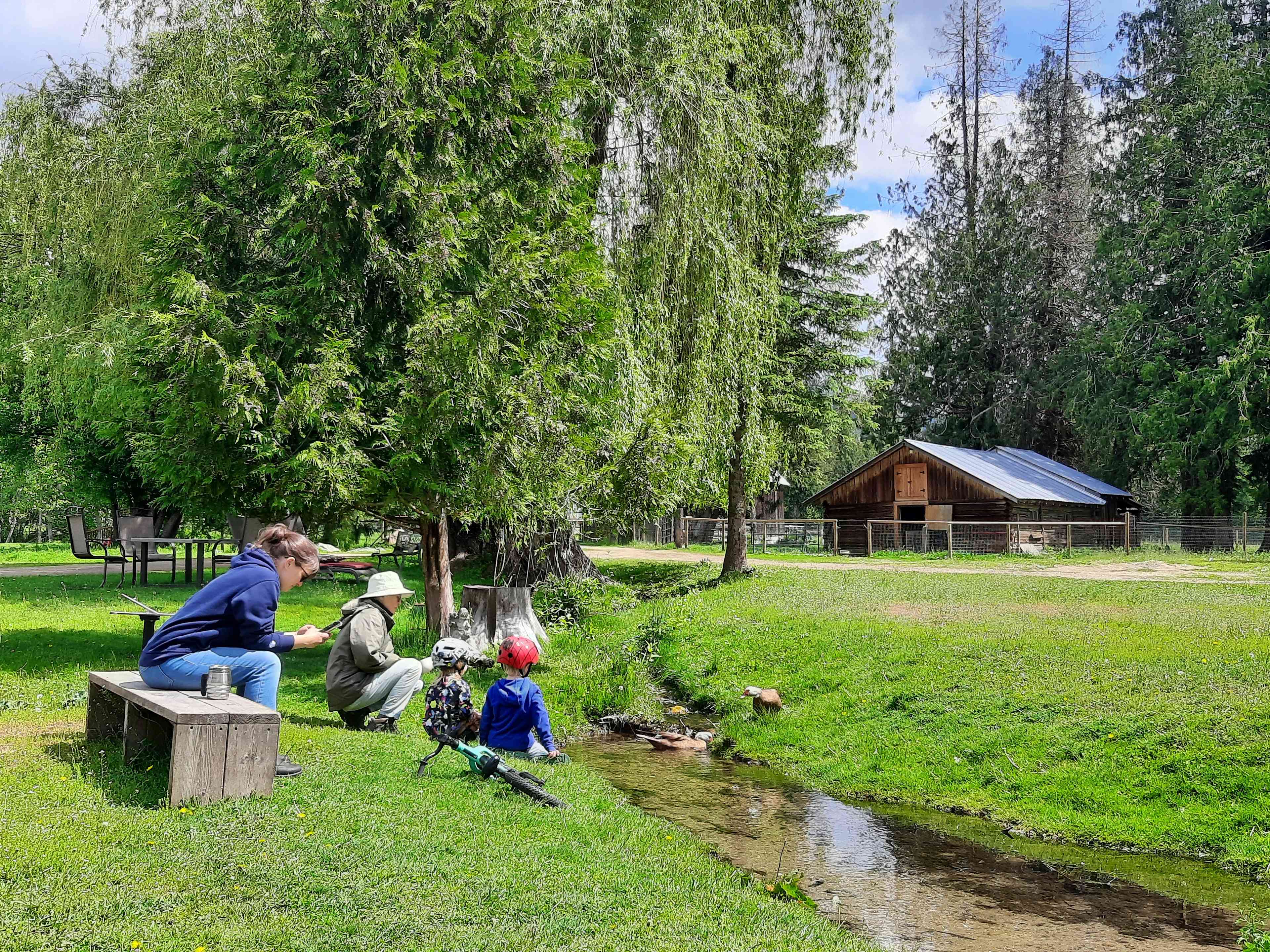 Olich Creek Farm