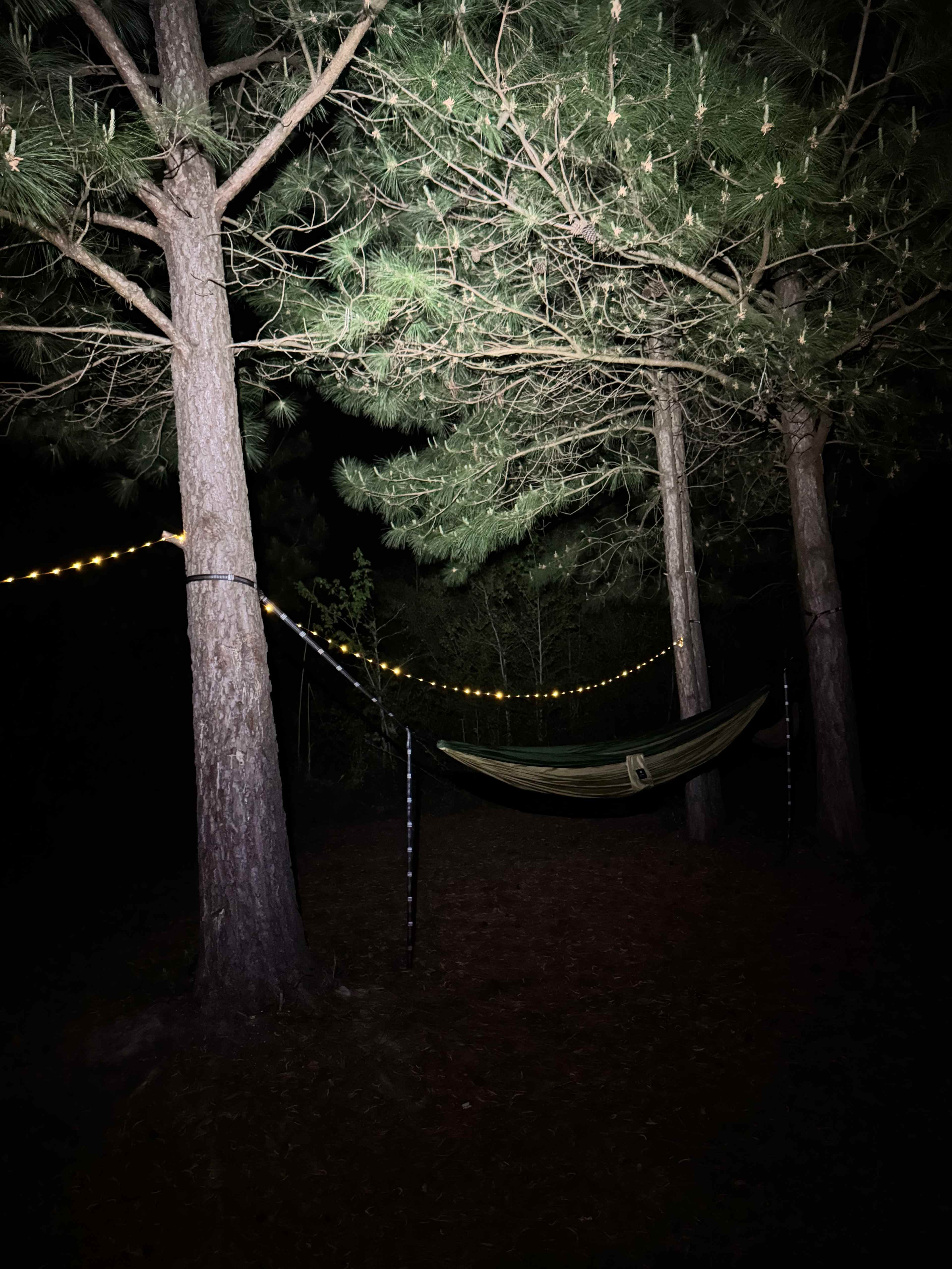JCO Campground at Lee Baysden Pond