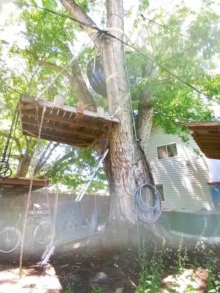 Homestead Sanctuary