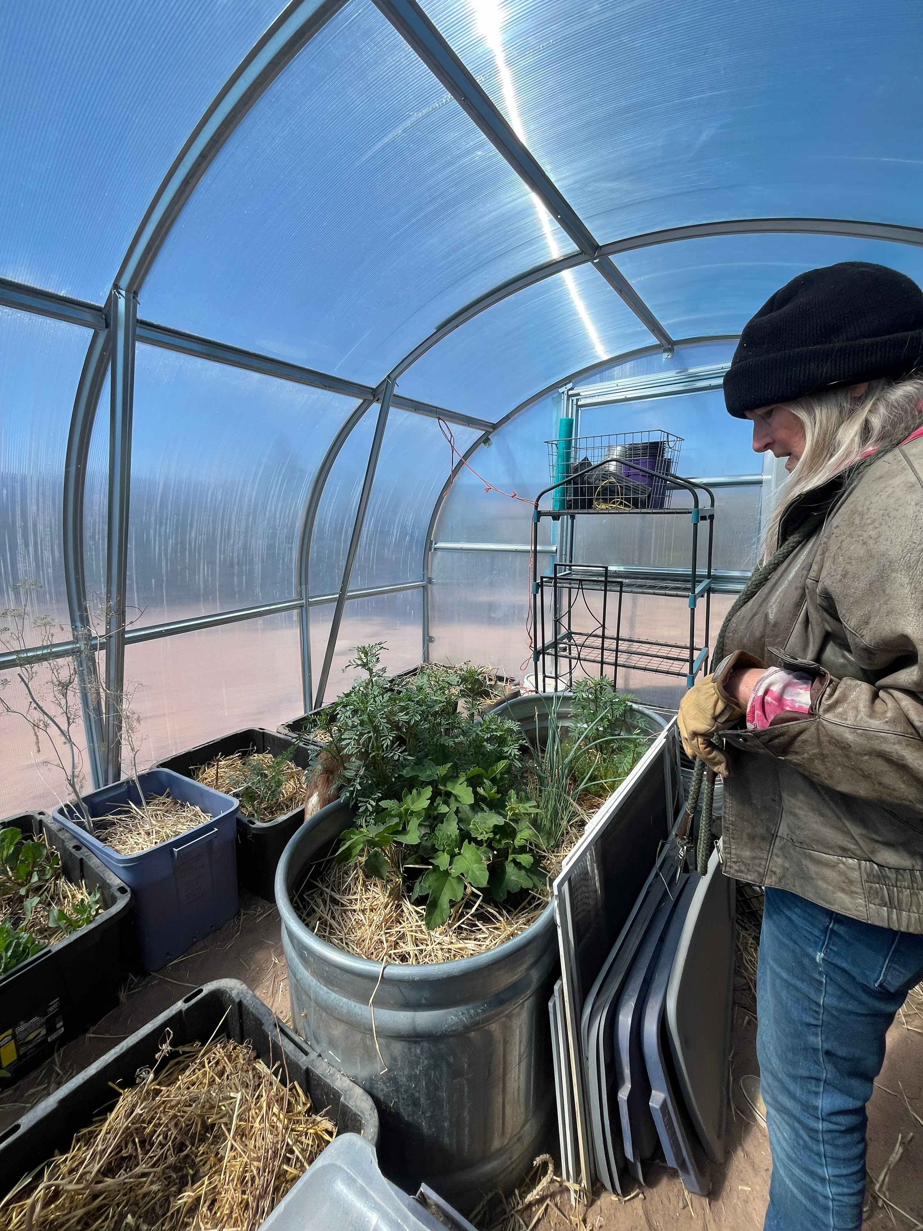 Kate showing me her green house 
