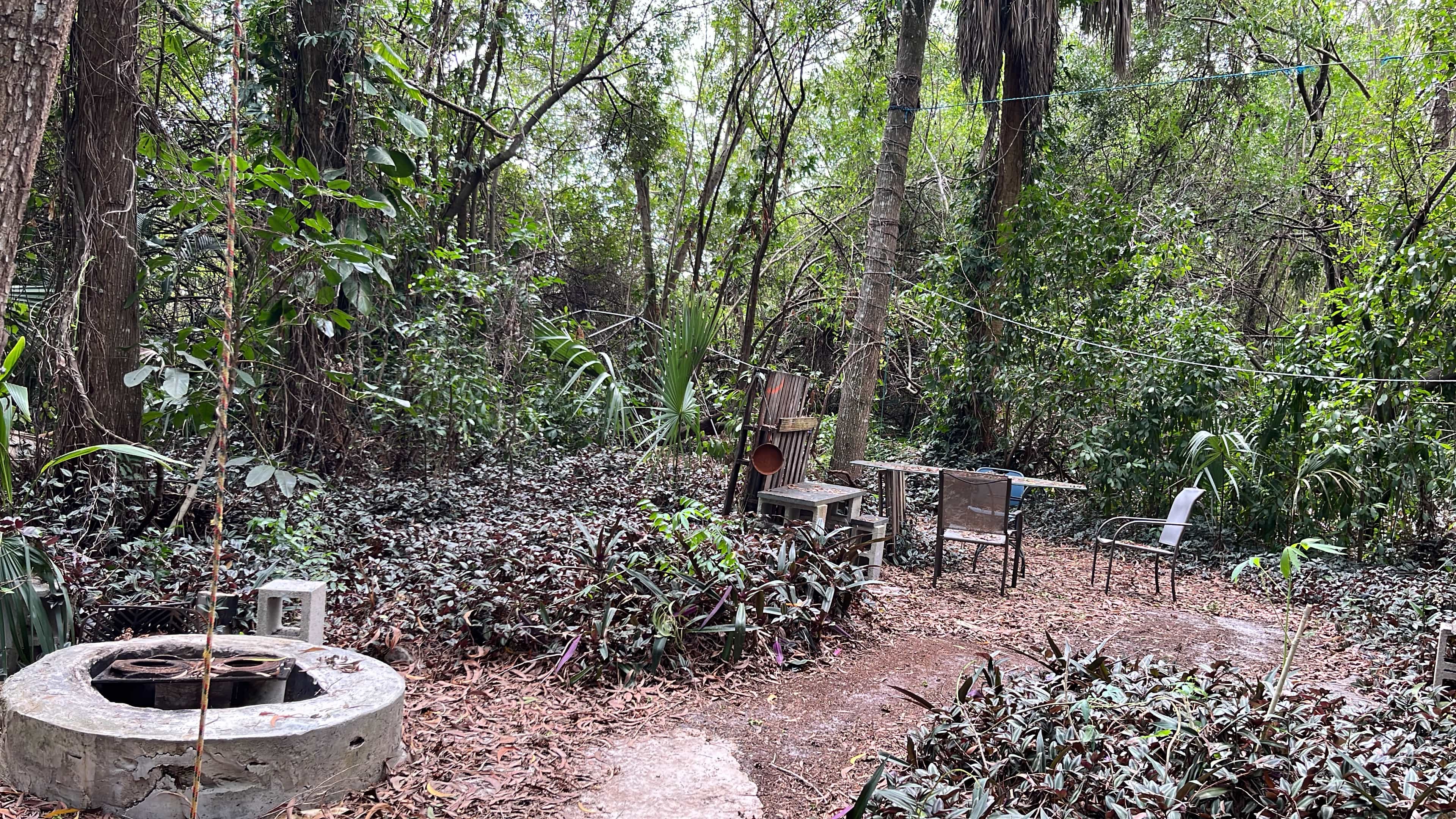 South Florida Permaculture Farm