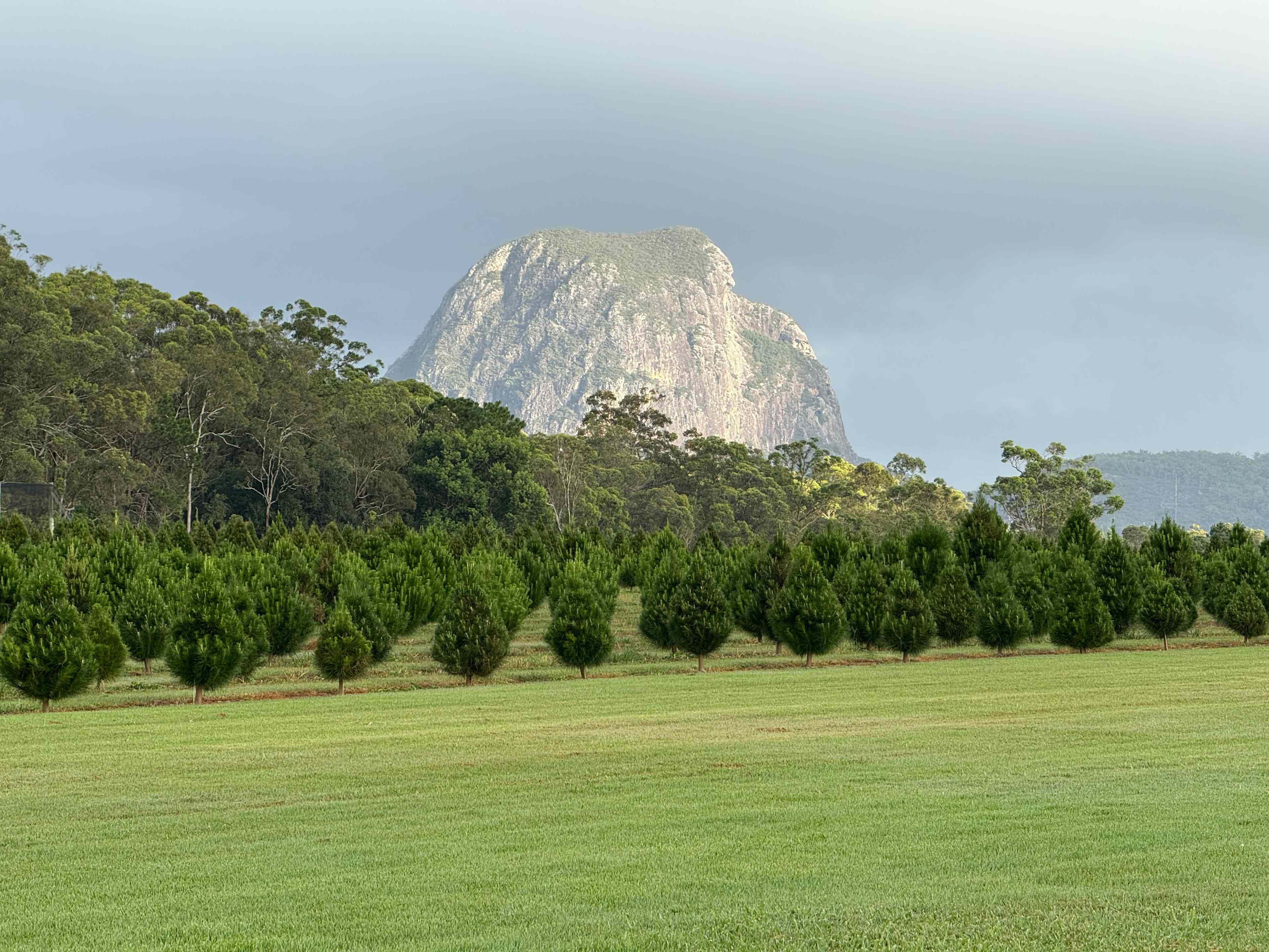 Mountain Country Farm Stay