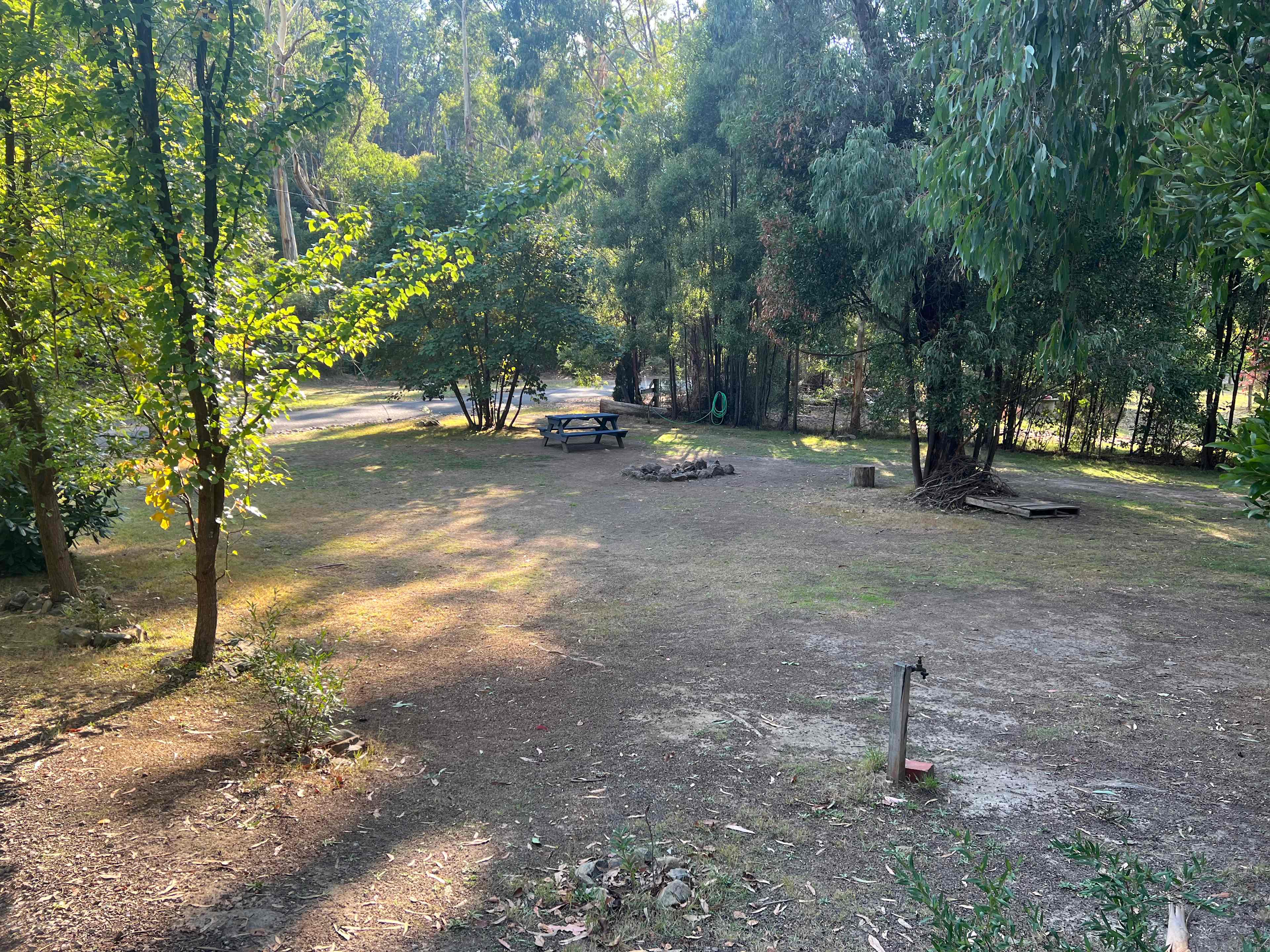 Silver Creek Escape