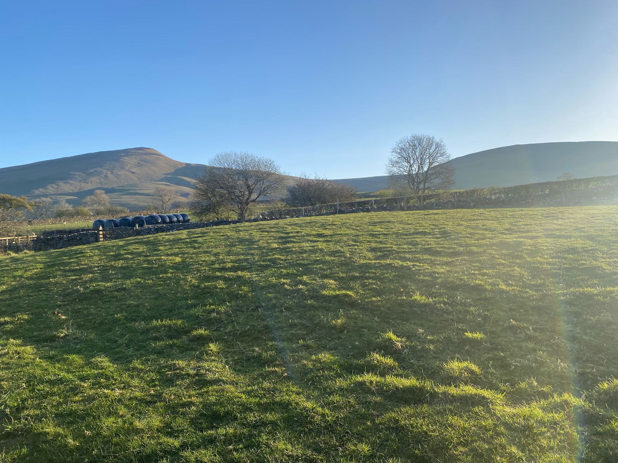 The Old Chapel Campsite