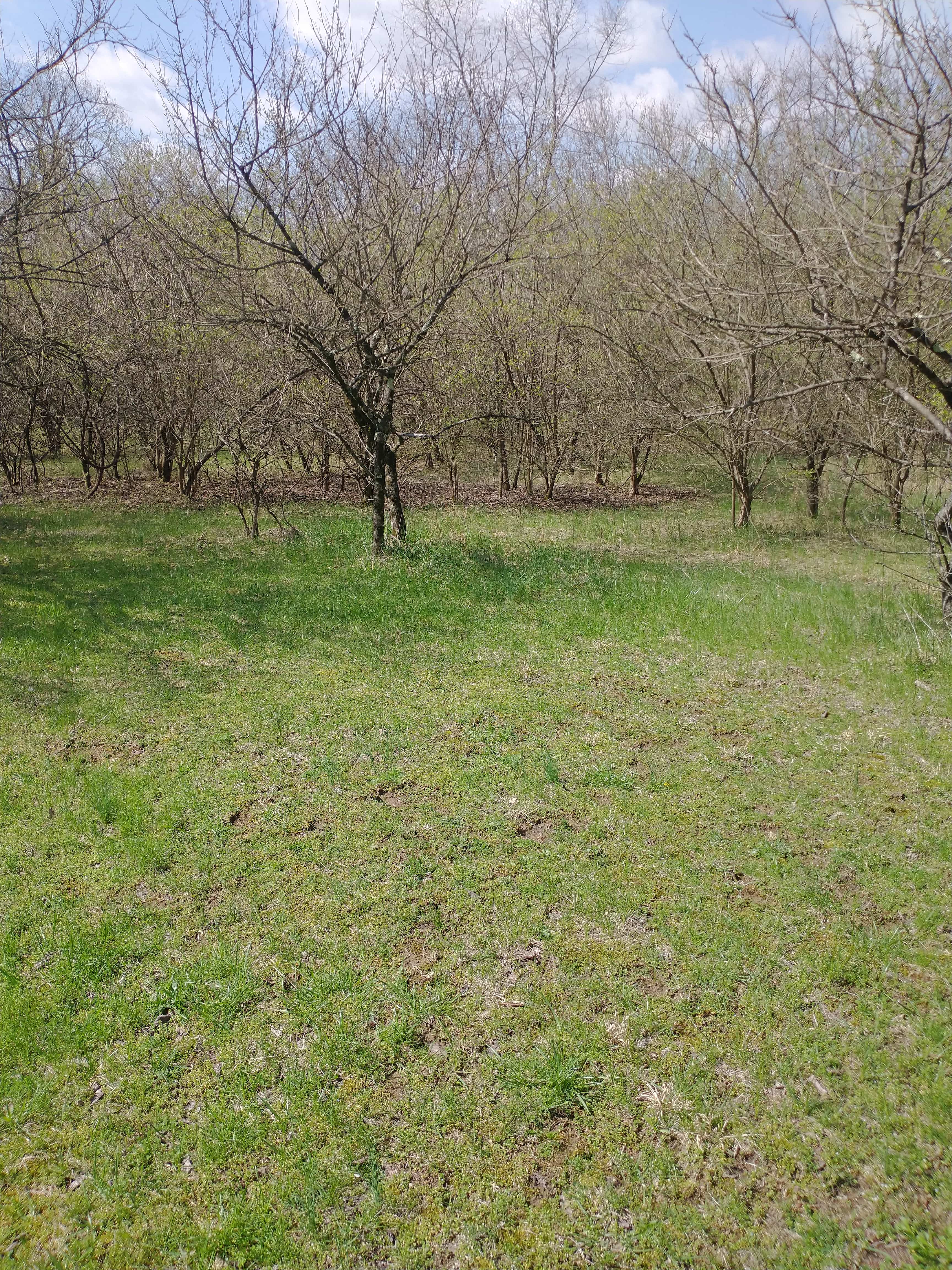 Arnold Acres
