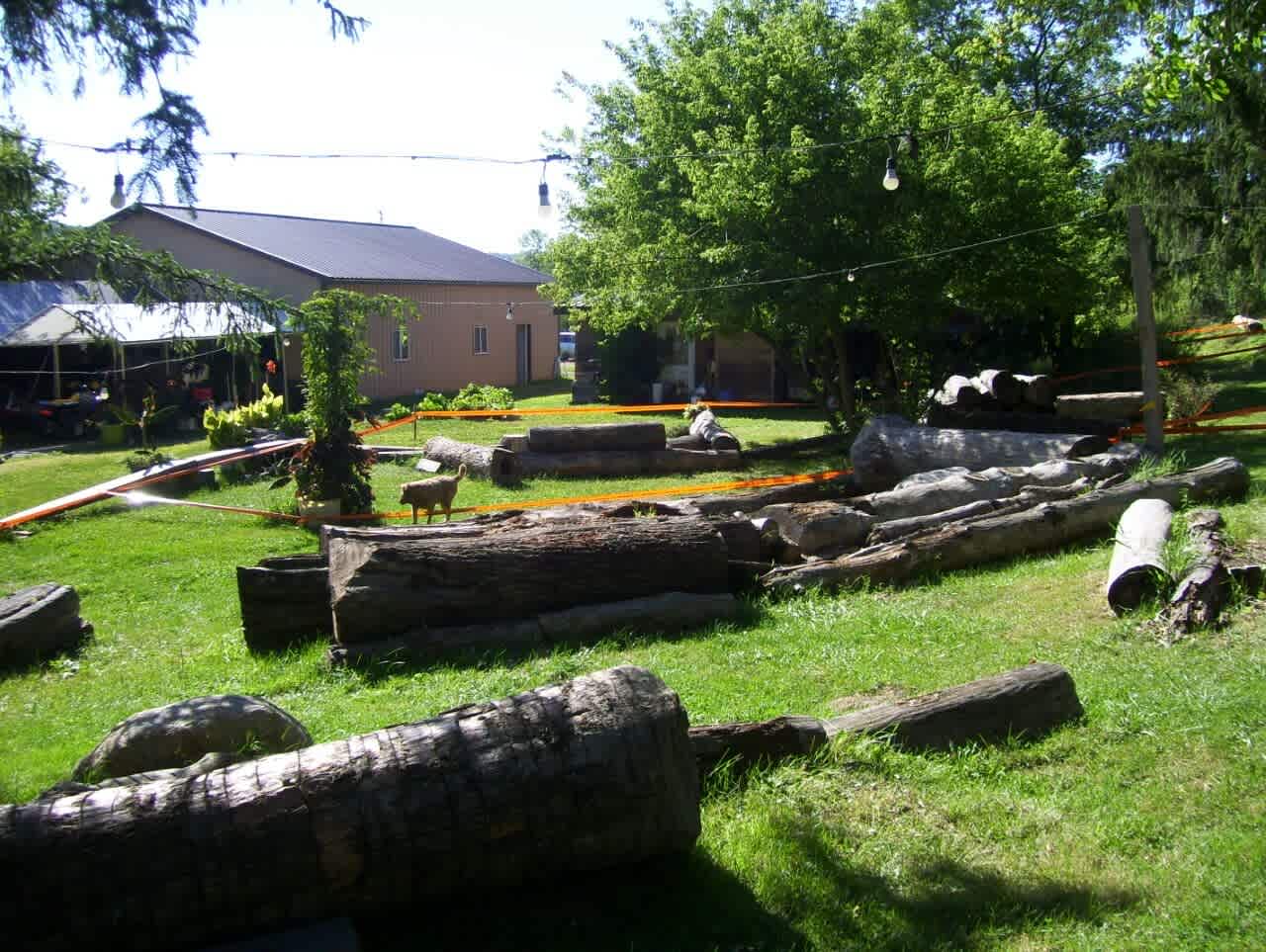 Tryals Park Camp & Obstacle Course