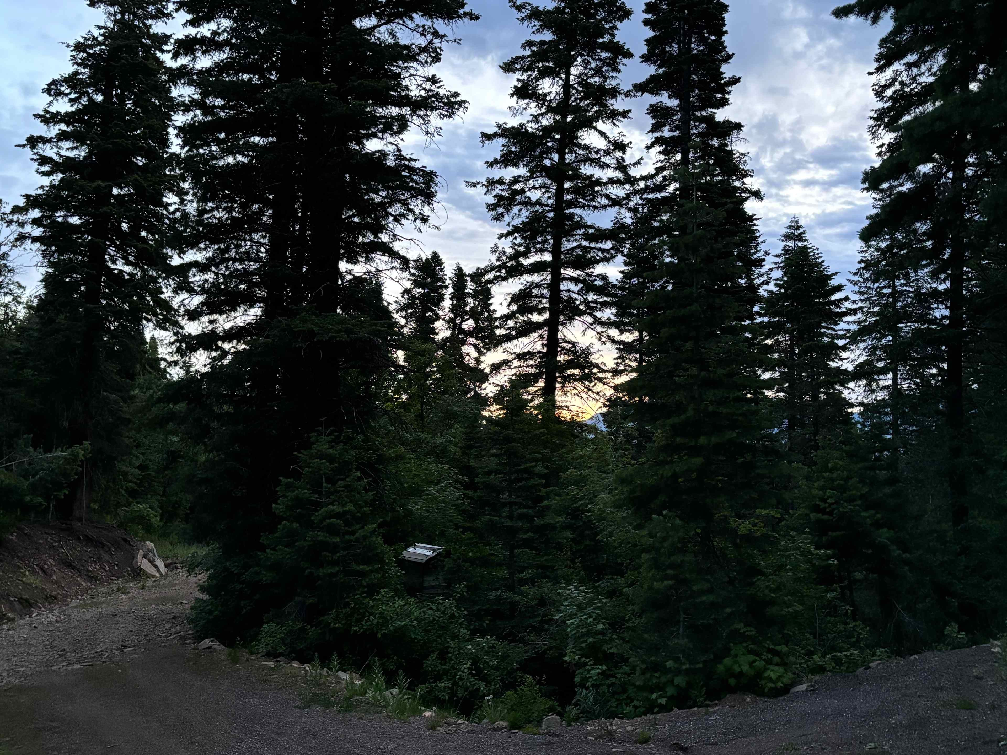 Thriller Camp Site