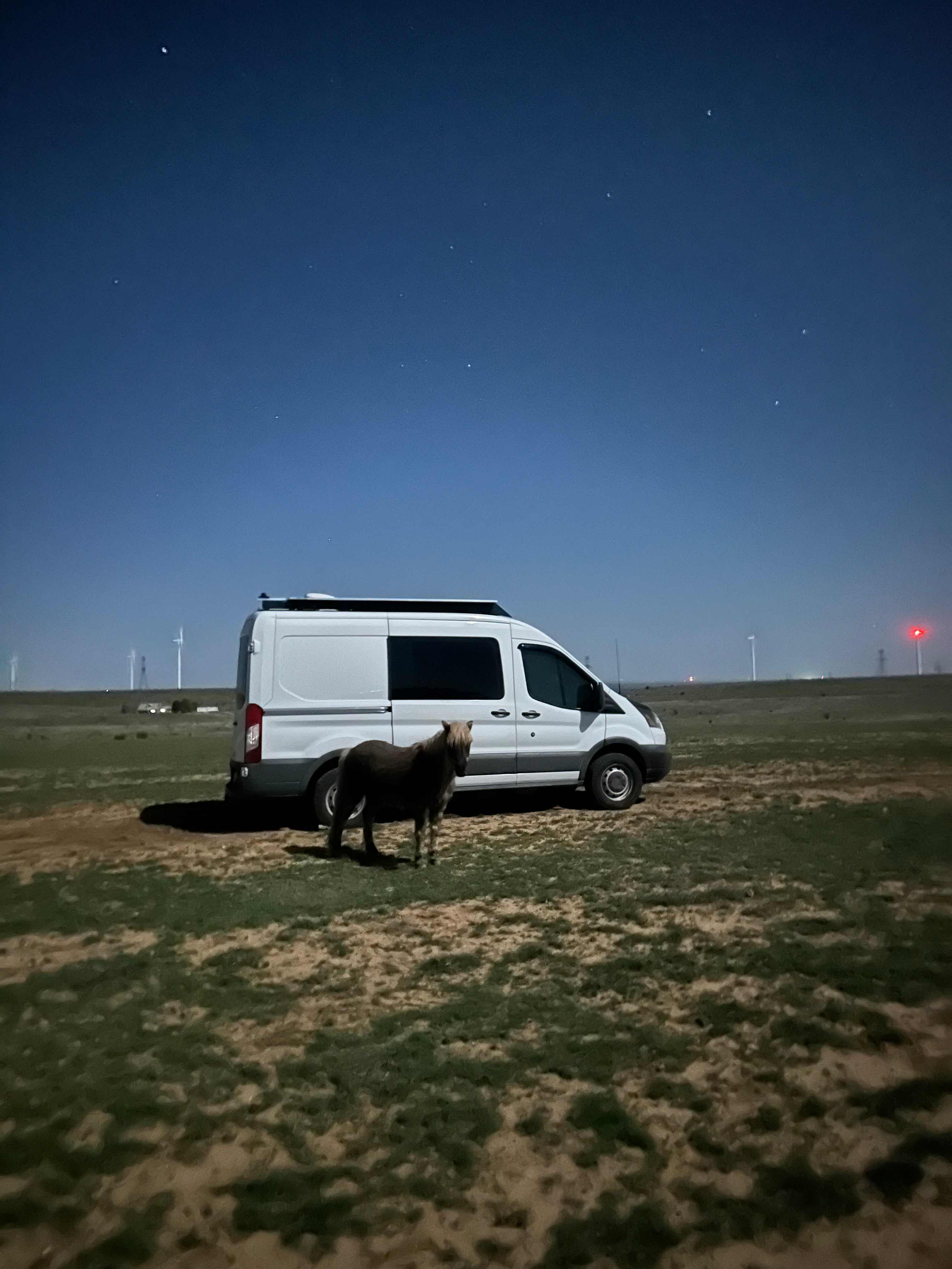Coyote Breaks Farm