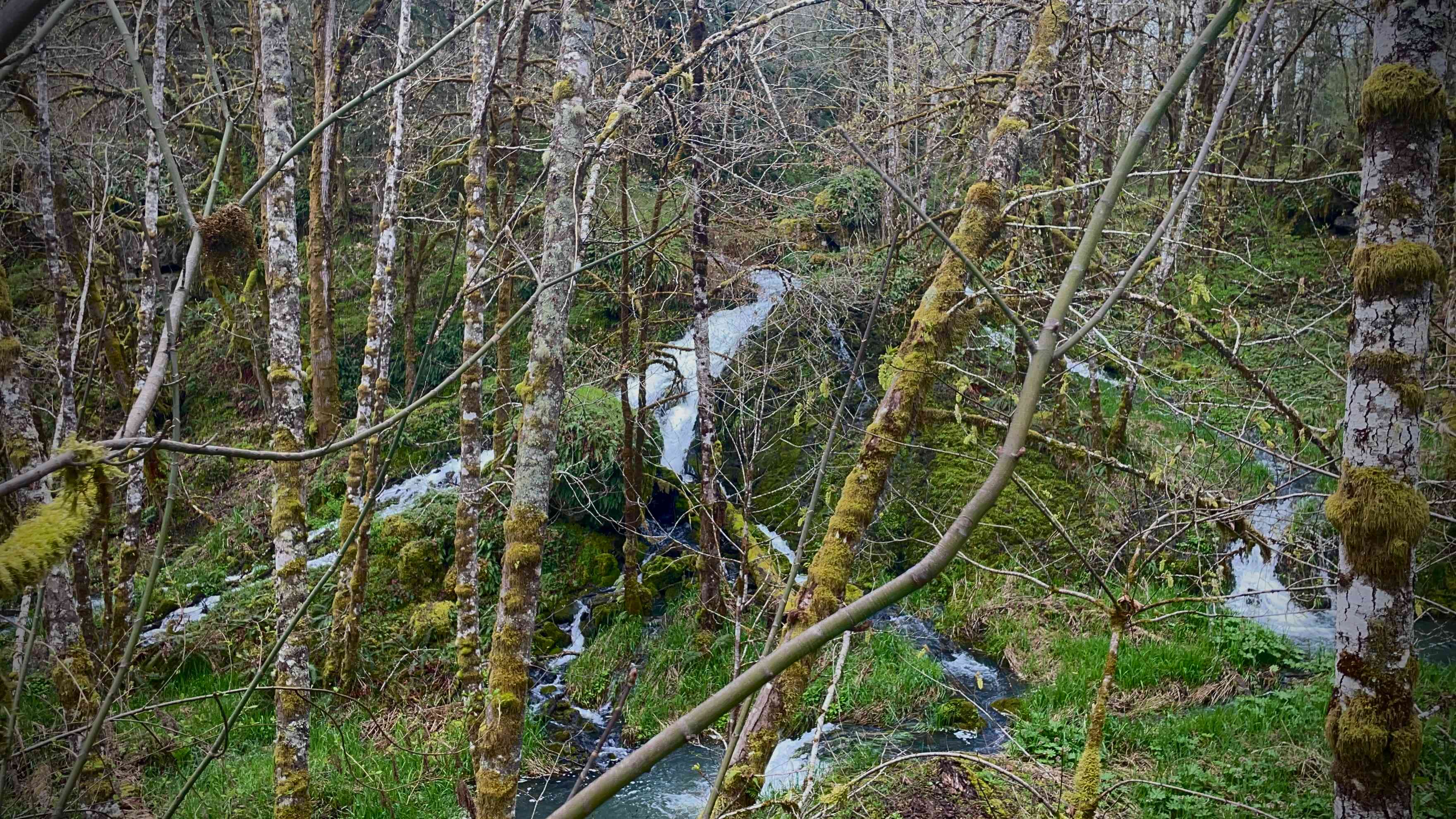 Cauldron Falls