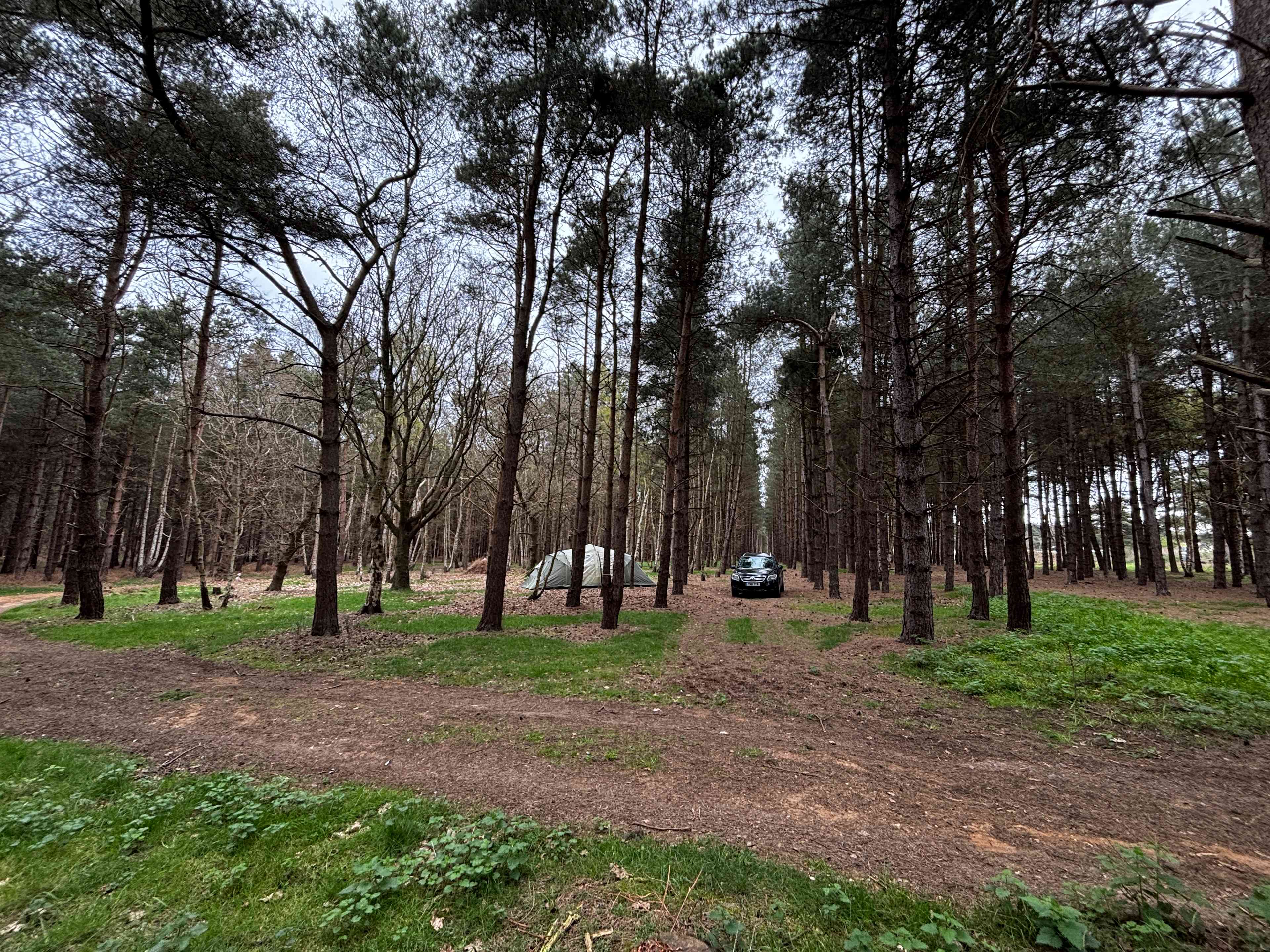 Holistic Woods Campsite WILD