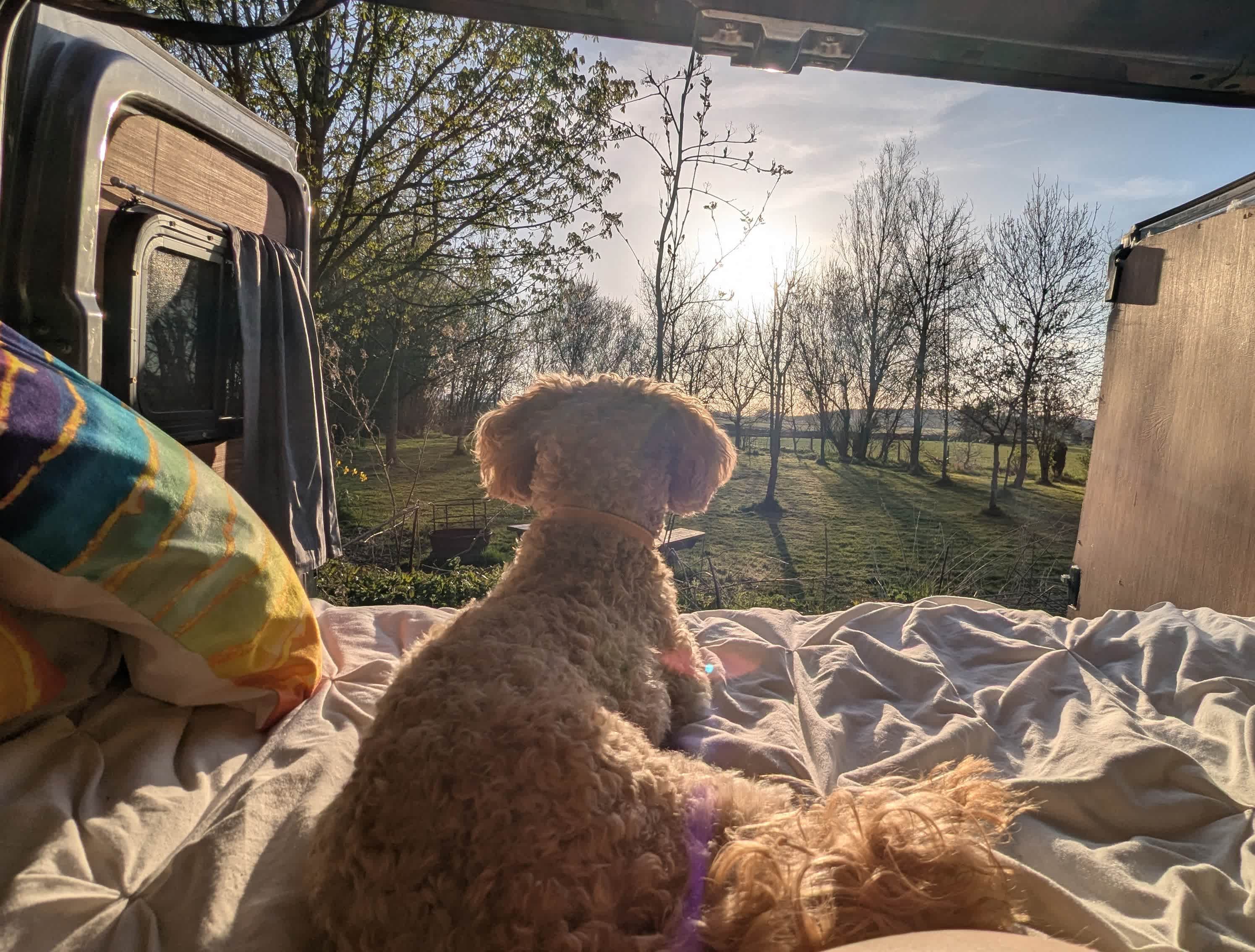 View from campervan