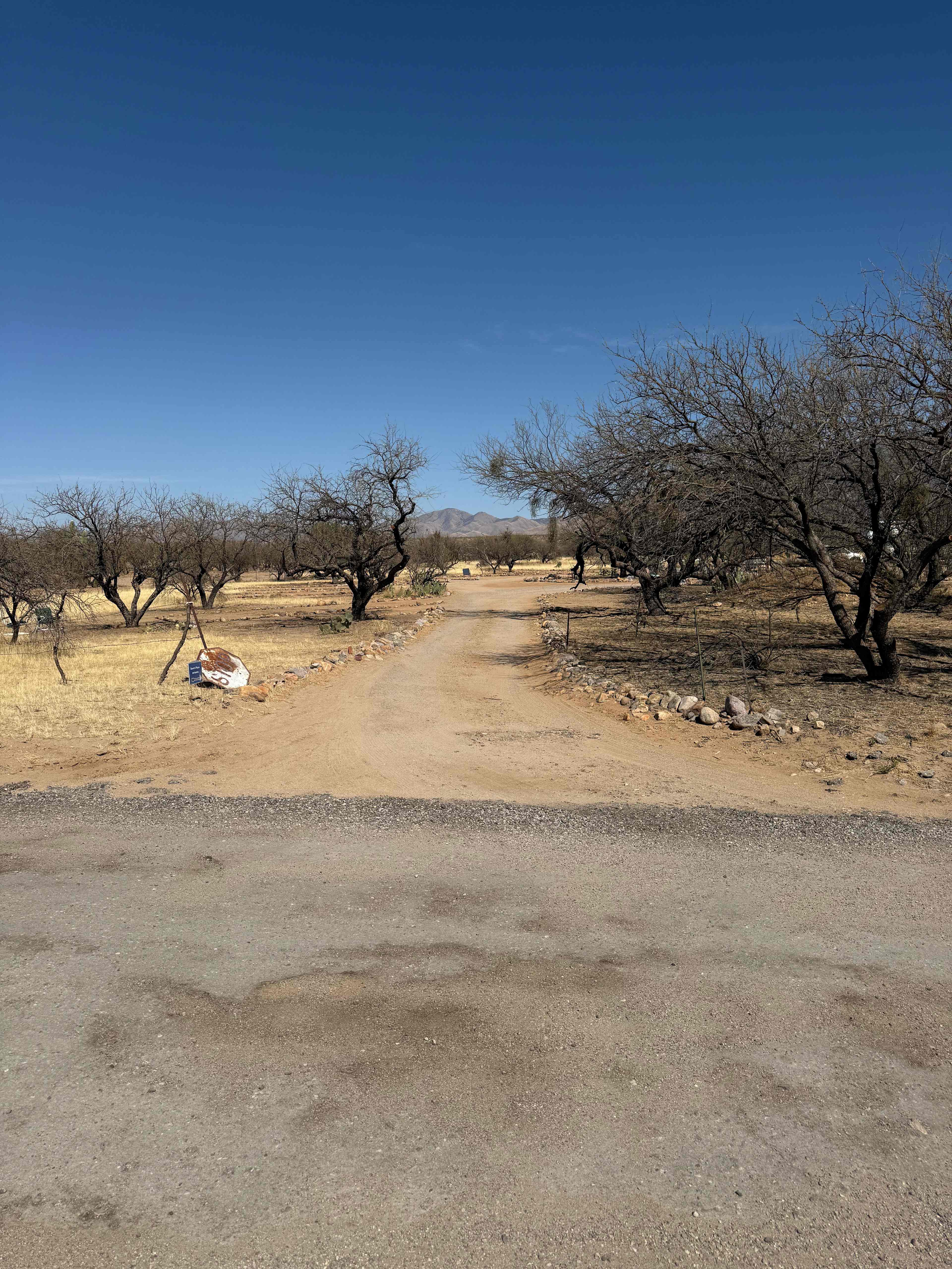 Dave's Place in the Desert
