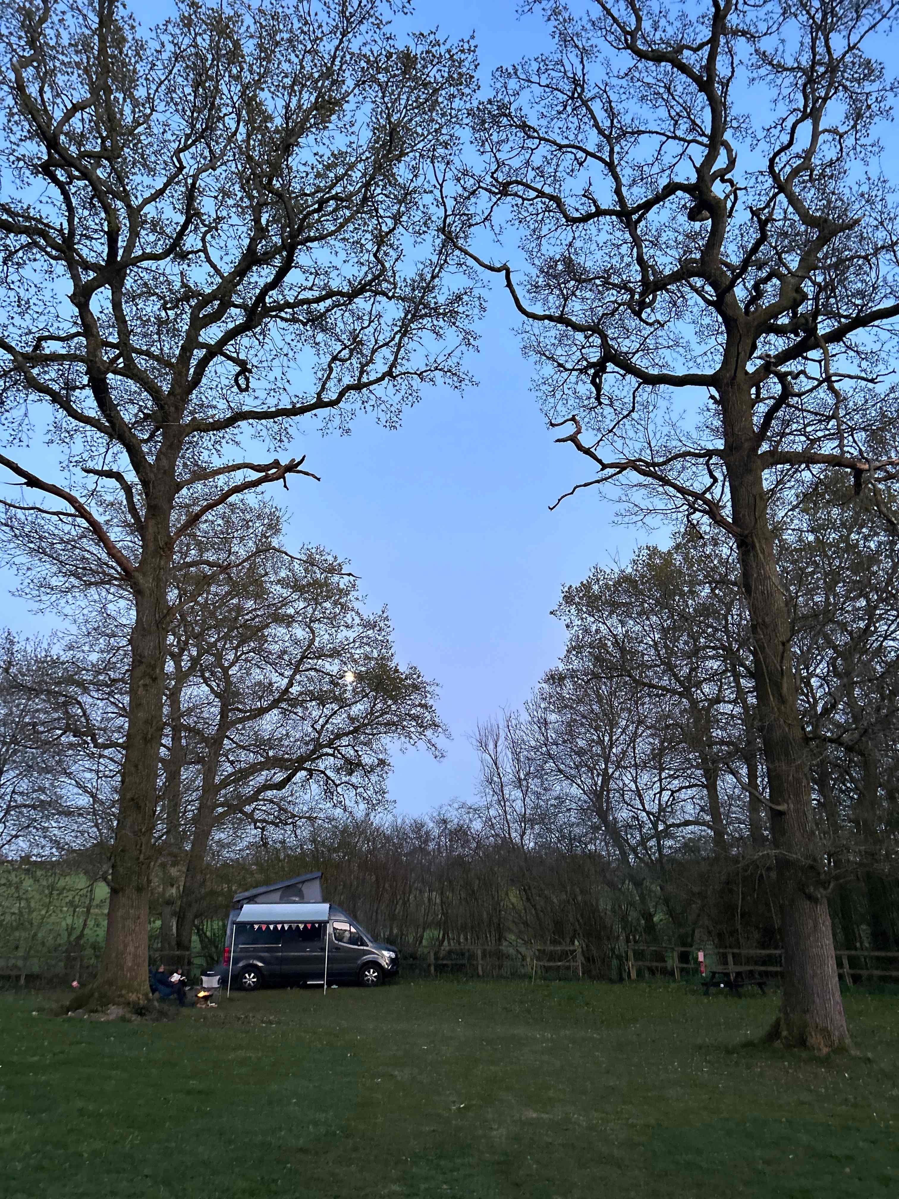Woodlands Camping
