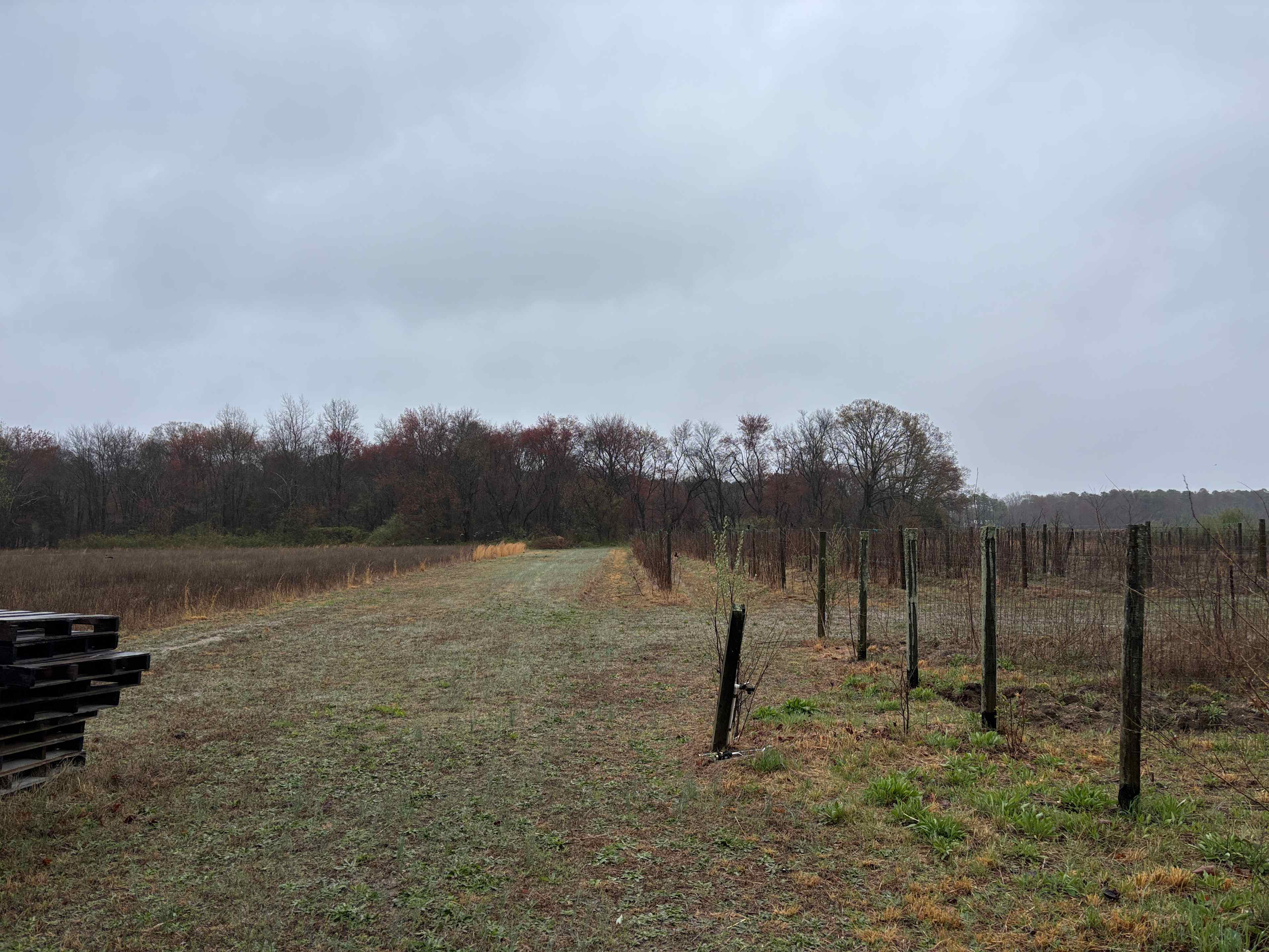 Double Dog Farm
