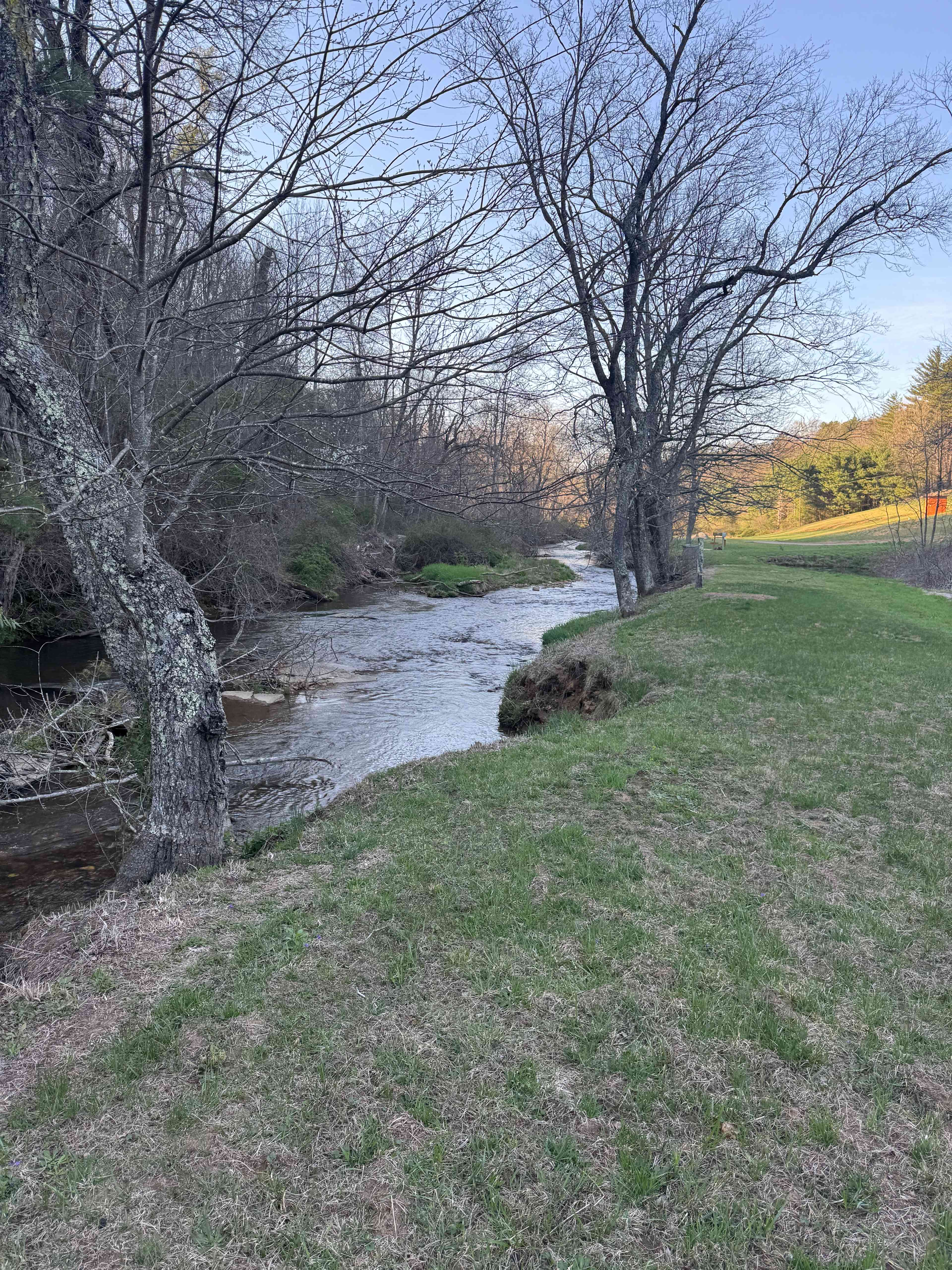 Creekside campsites