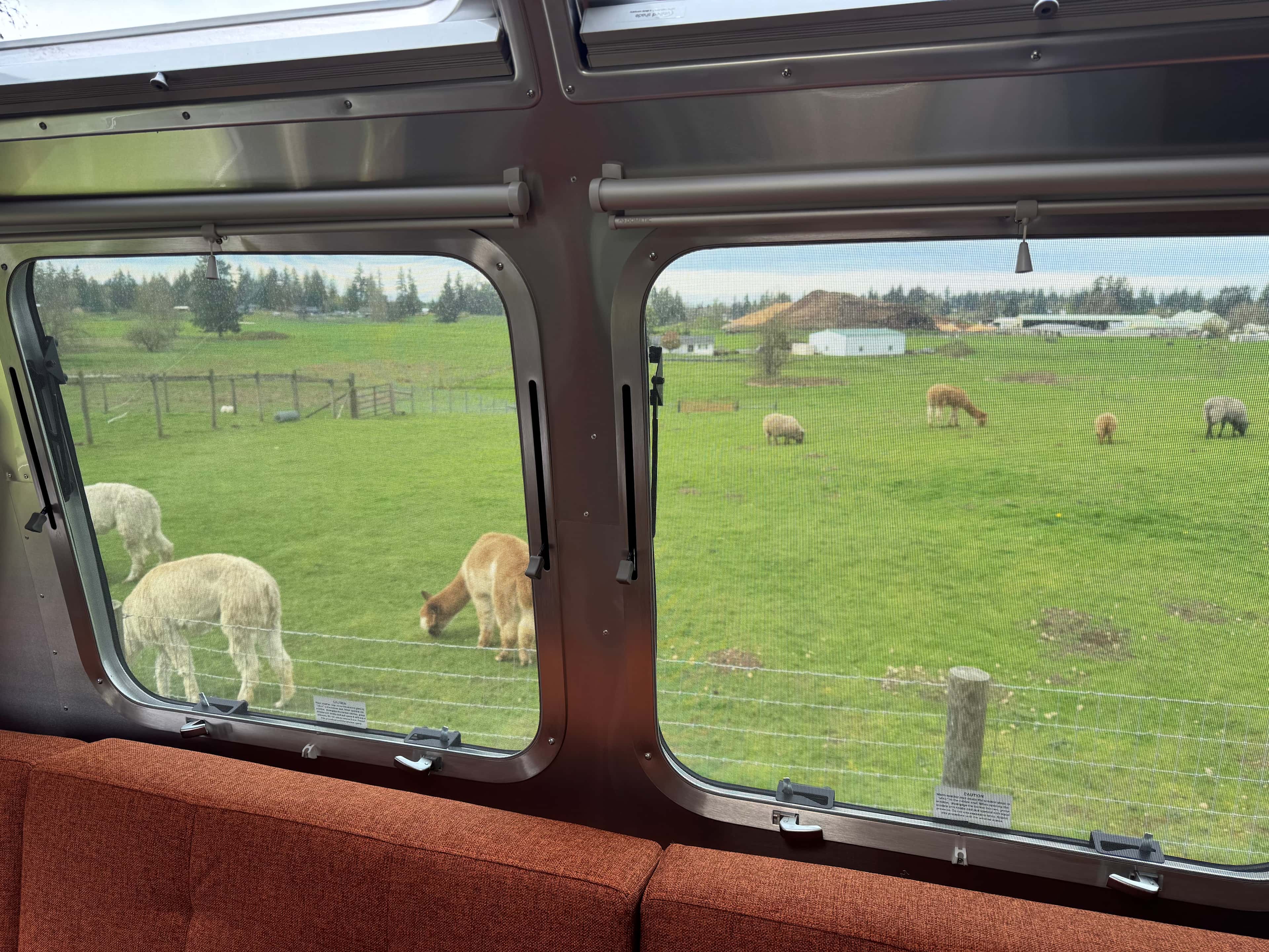 Green Apple Alpacas