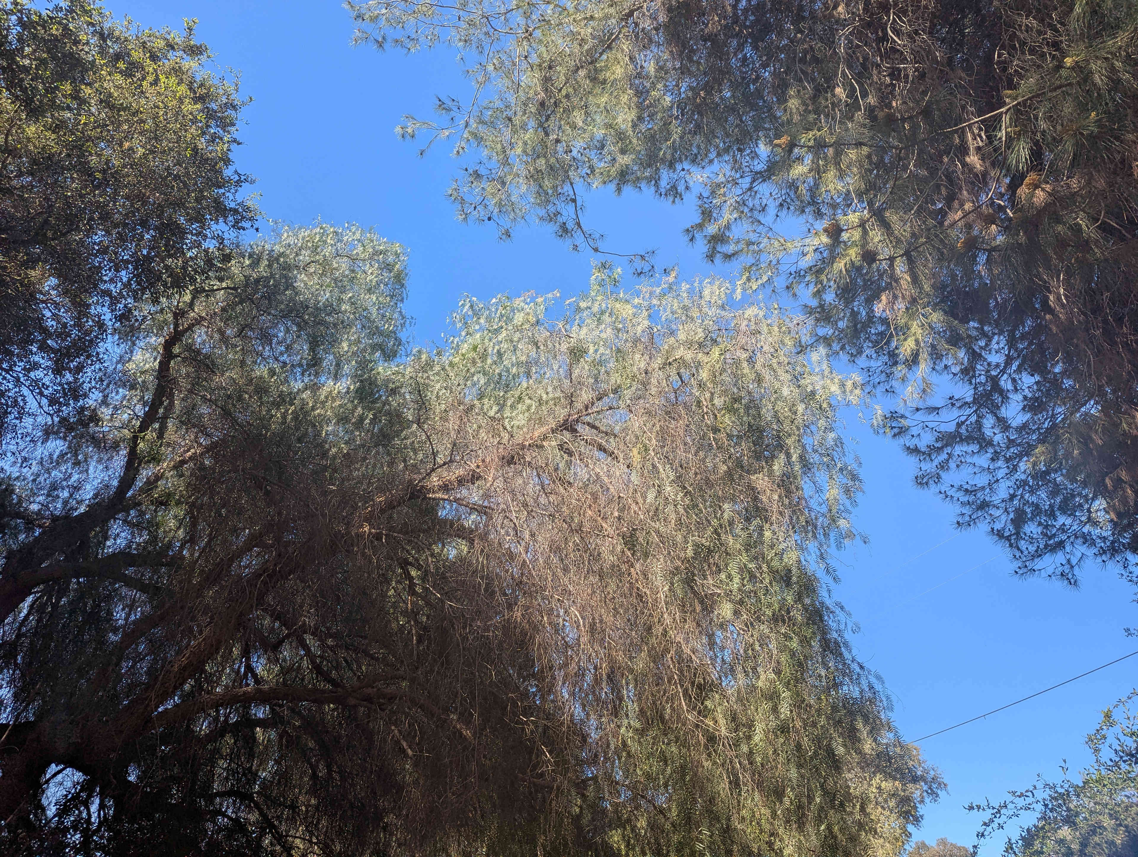 Wild Seeds Ranch