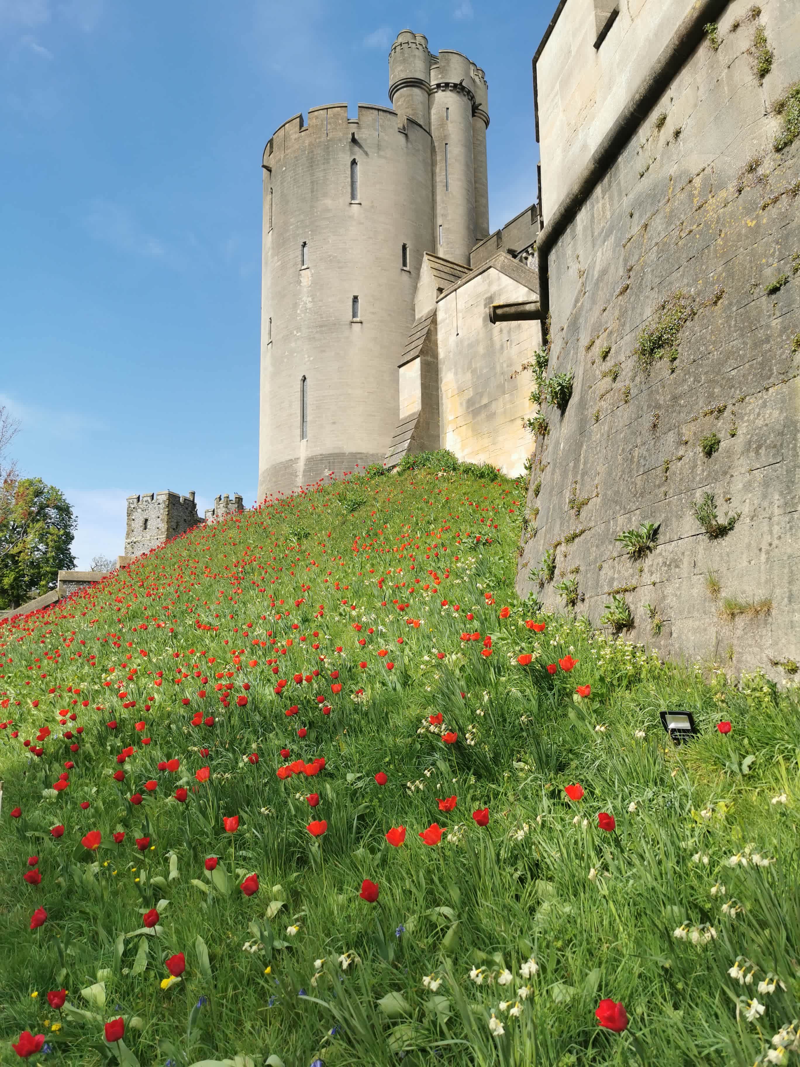 Arundel Castle 