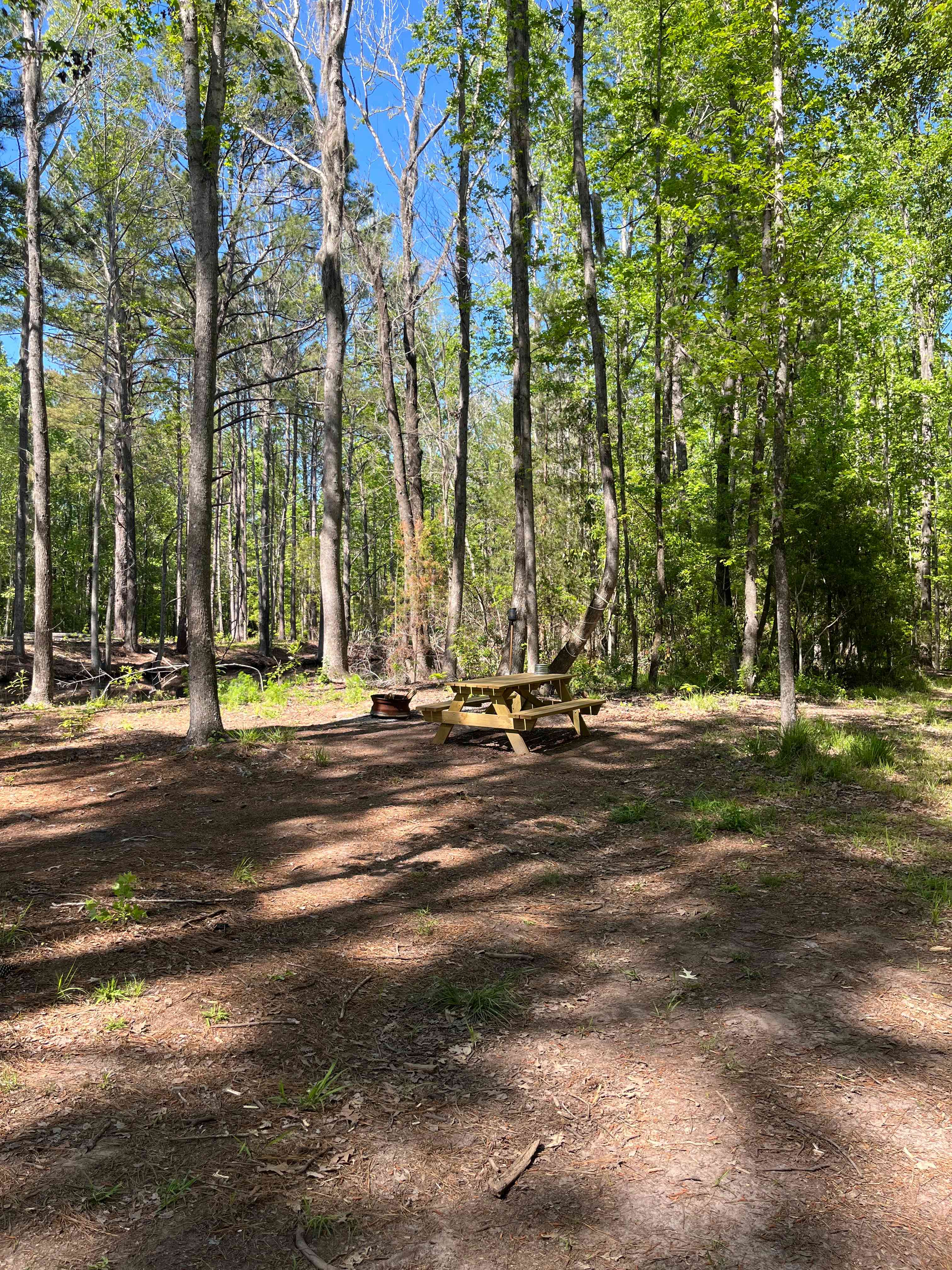 Cassabl Farm