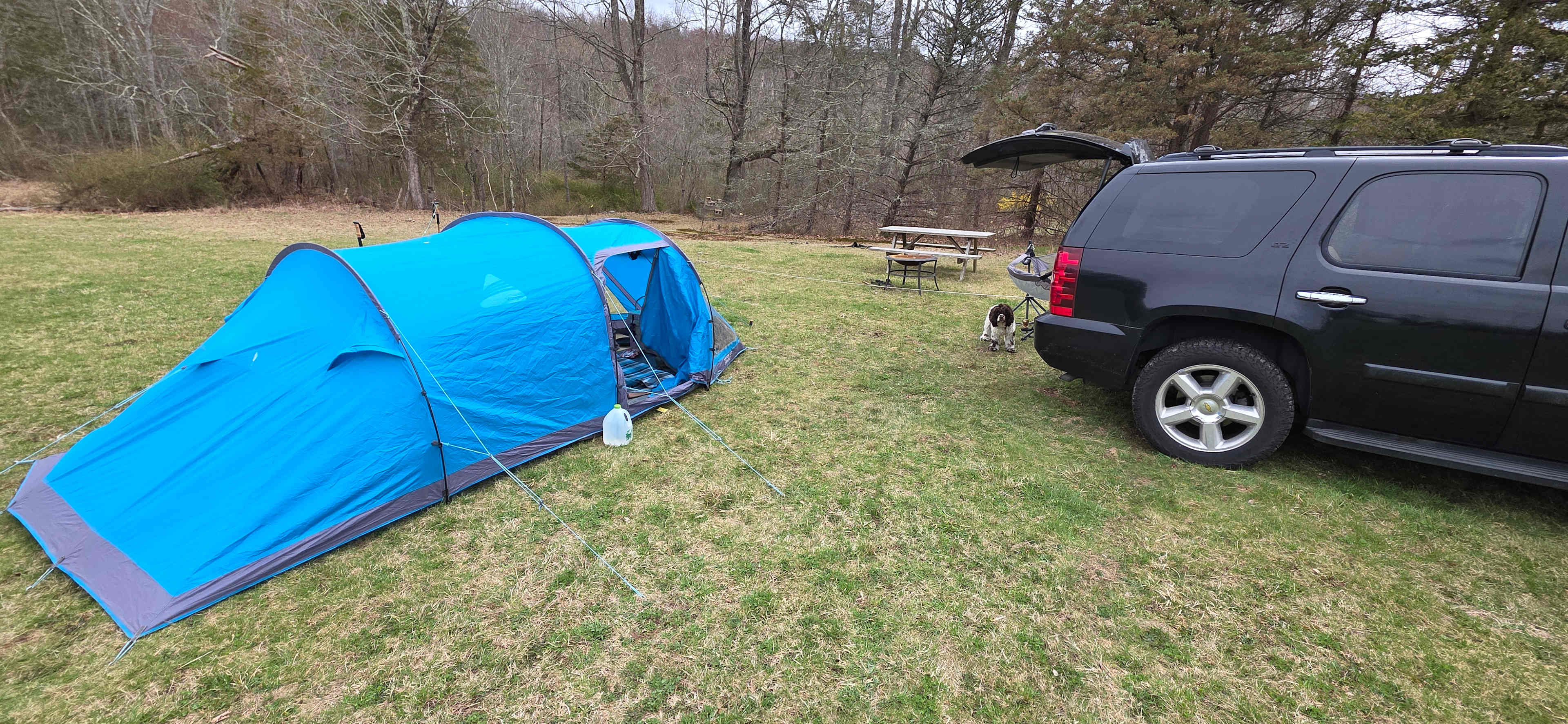 Greener Pastures Camp
