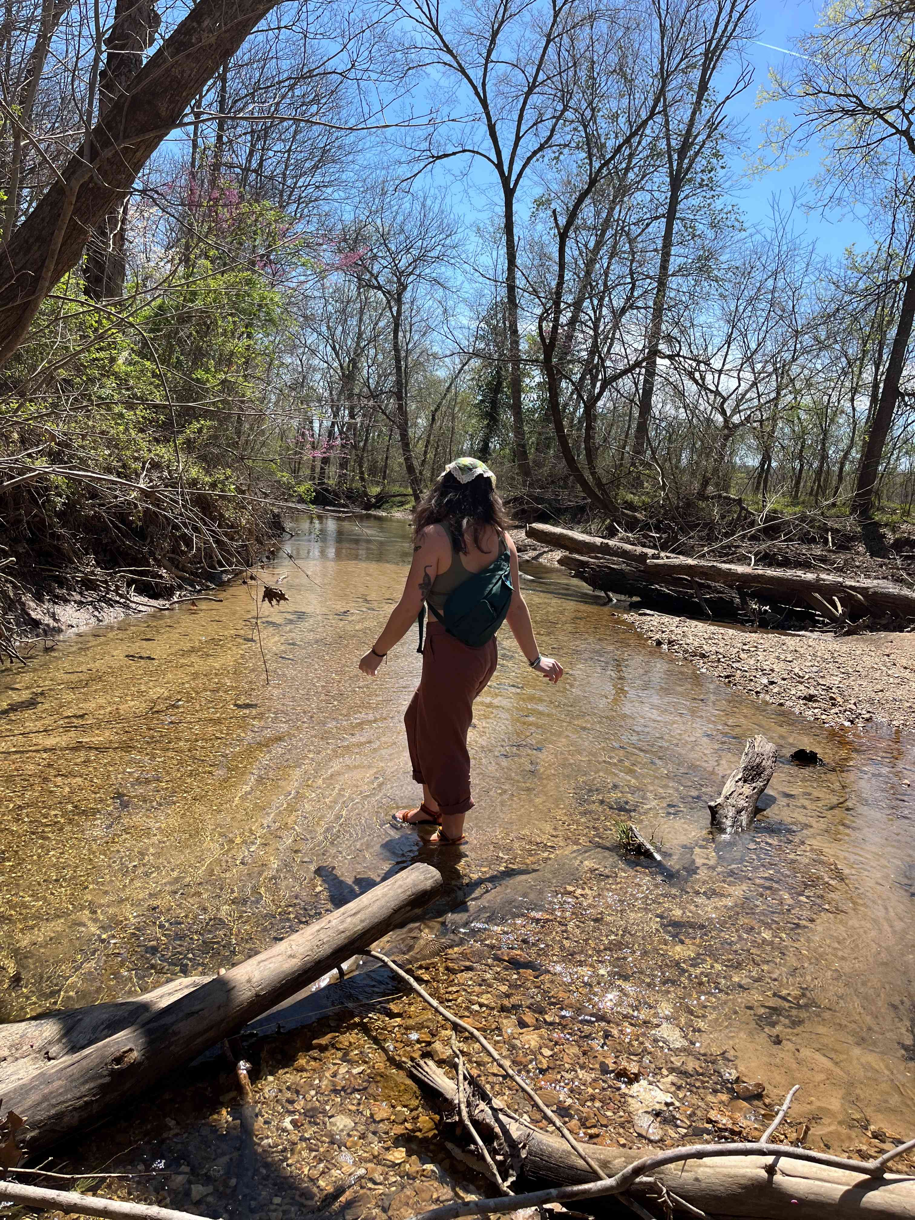 Hummingbird Hollow Outdoors