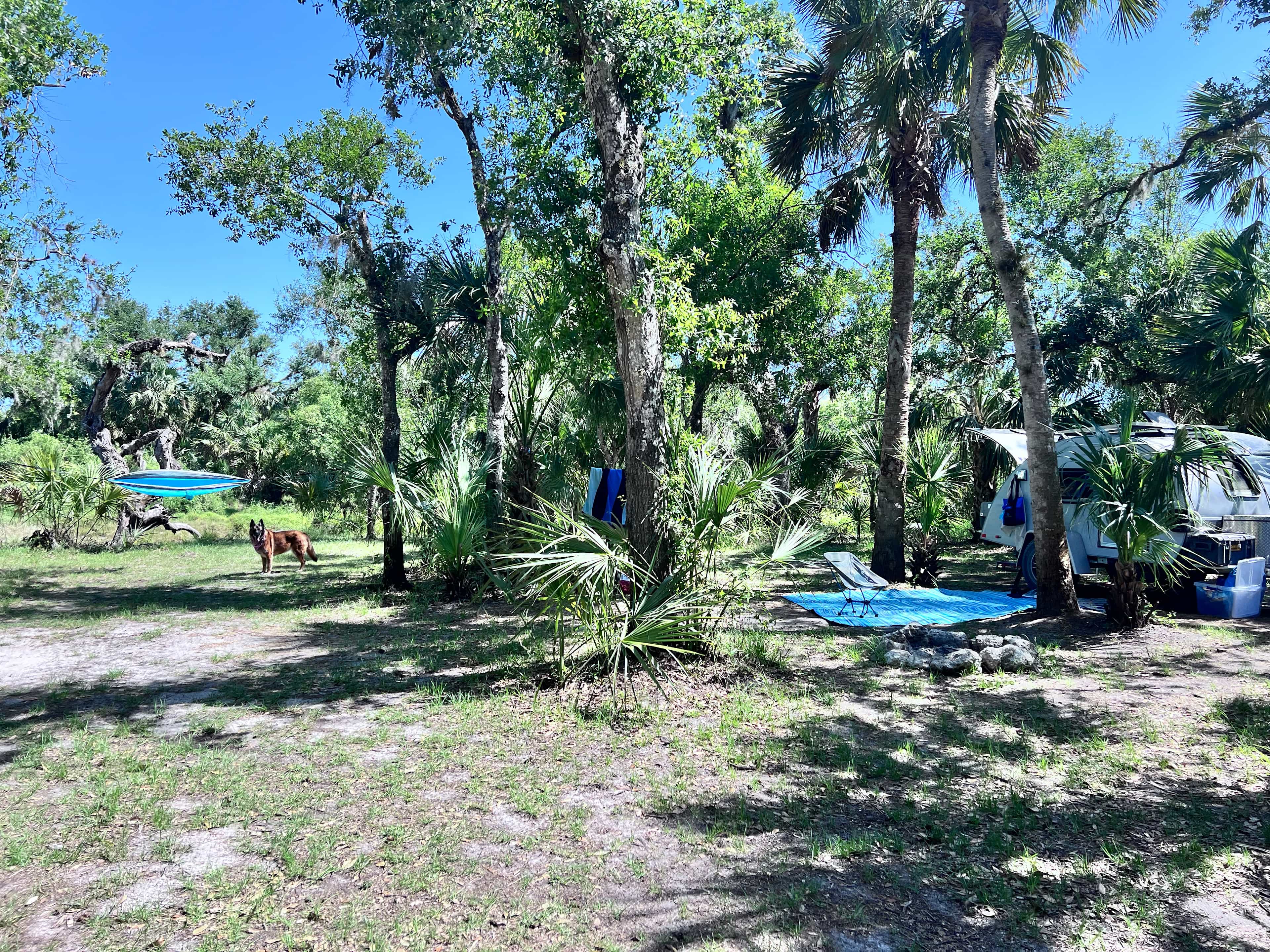 Campsite 