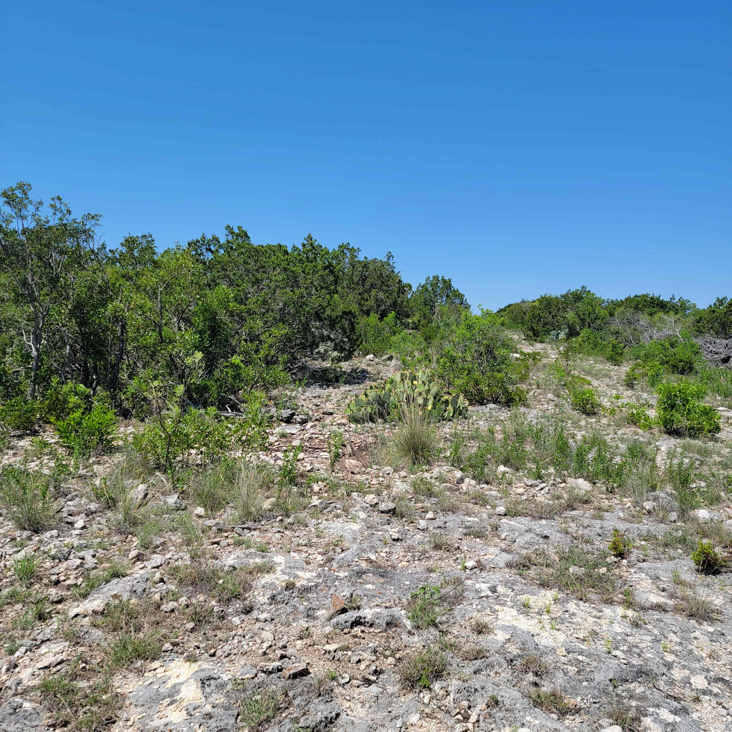 Hiker's Paradies | 6,000 Acre Ranch