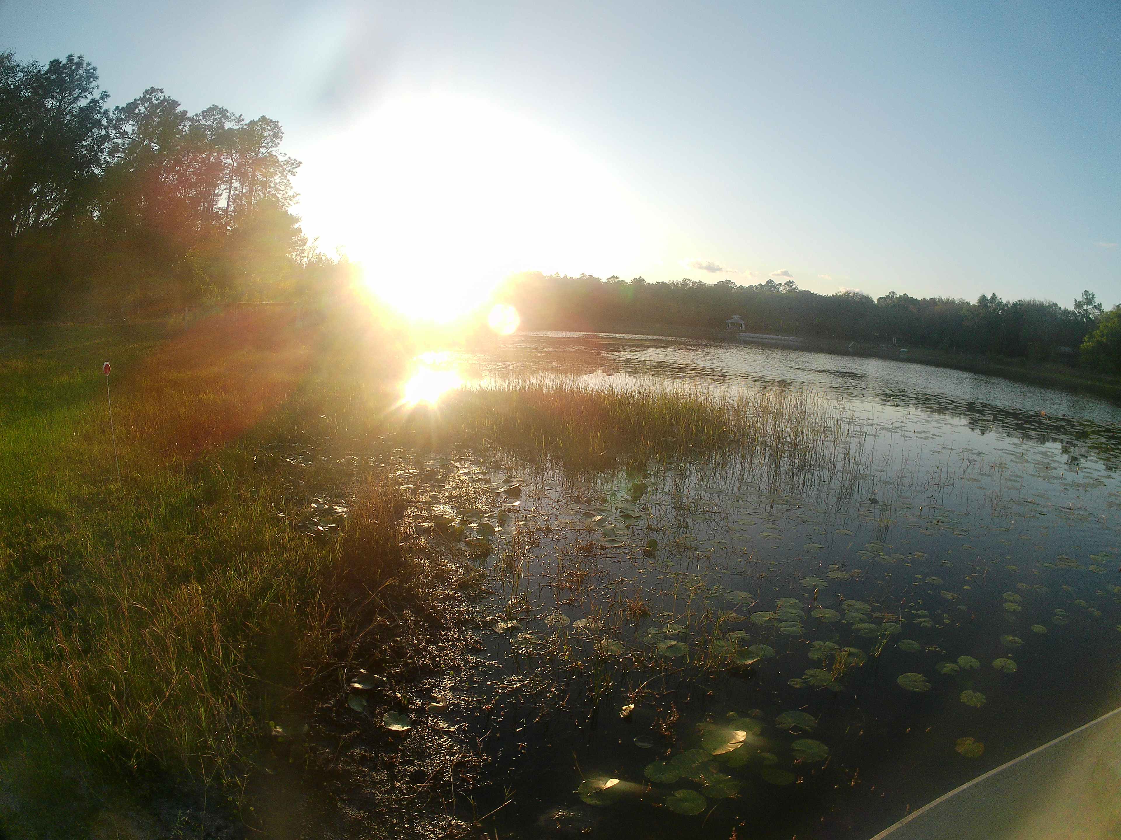 Lakefront Sweet Spot, N Central FL