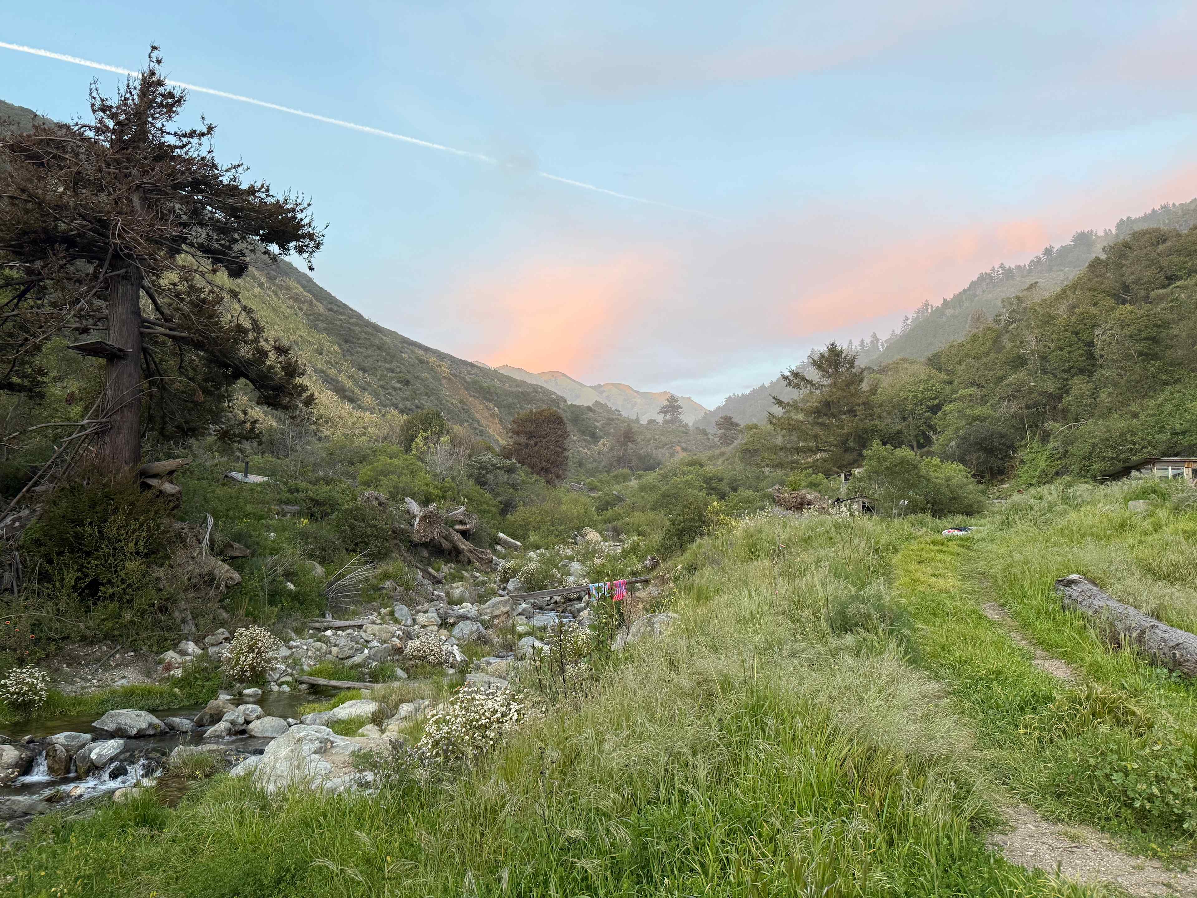 dabudage Big Sur