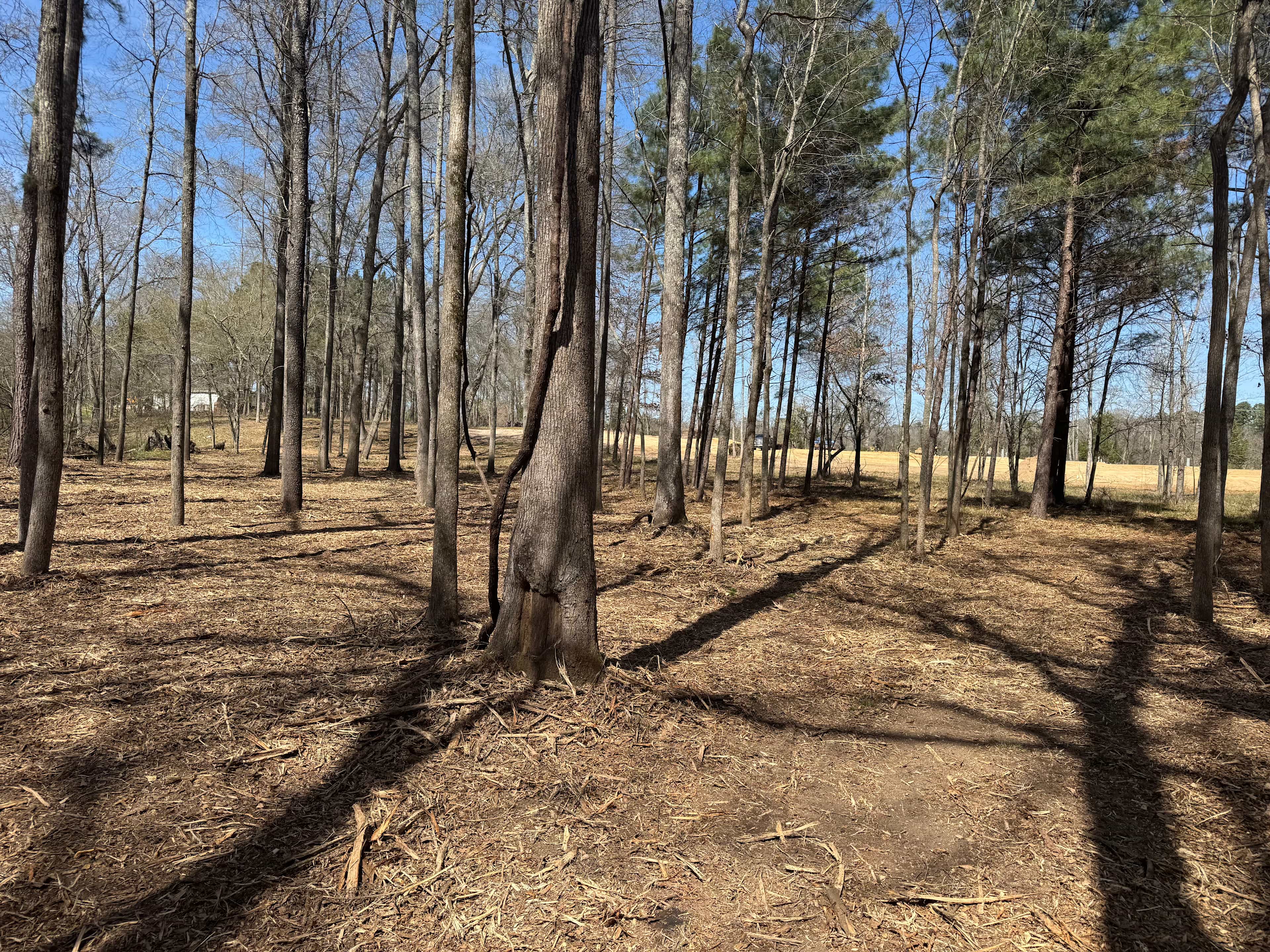 Wards Creek Ranch and RV
