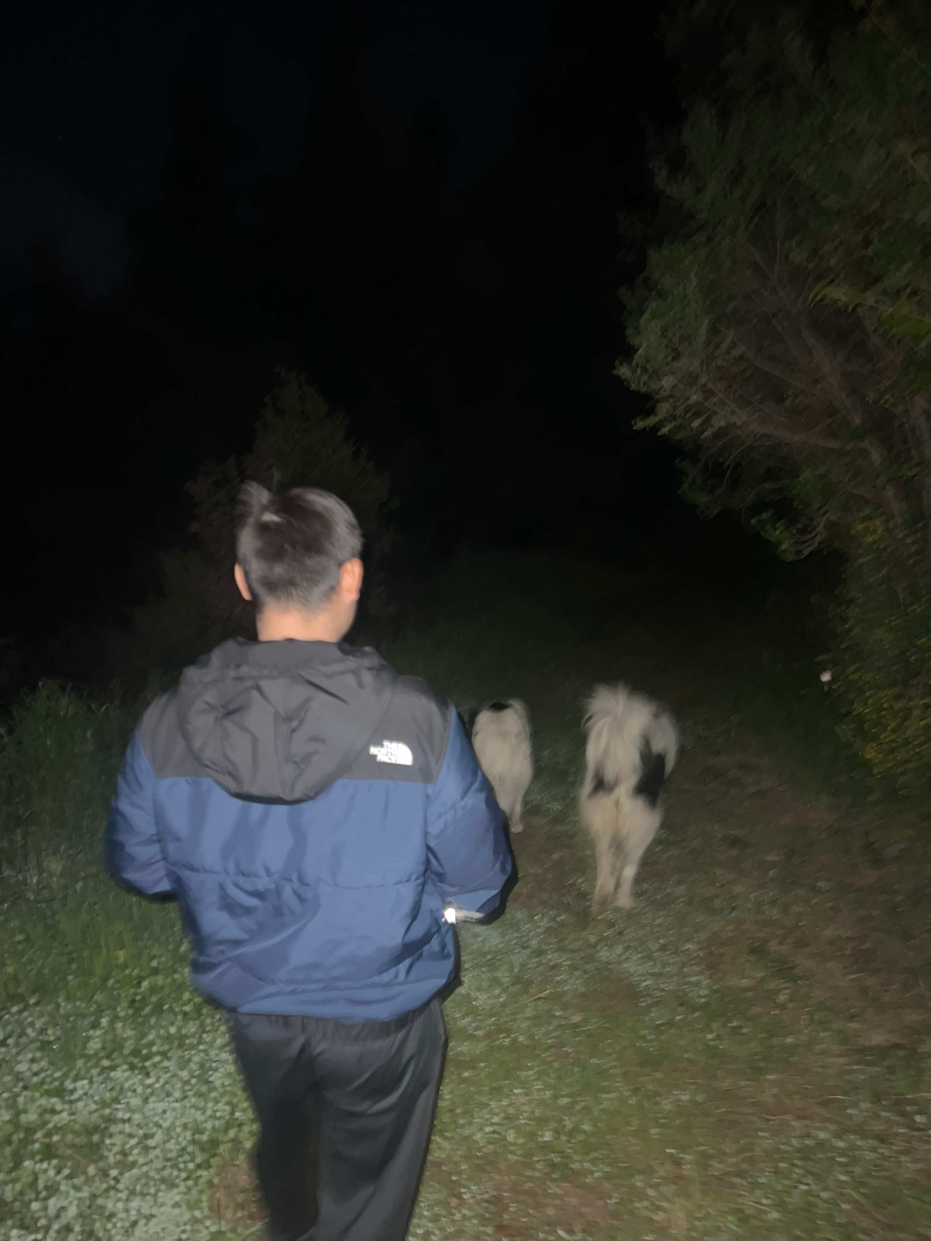 Sunny’s dogs helped us find the bathroom and kept a lookout at night for us!
