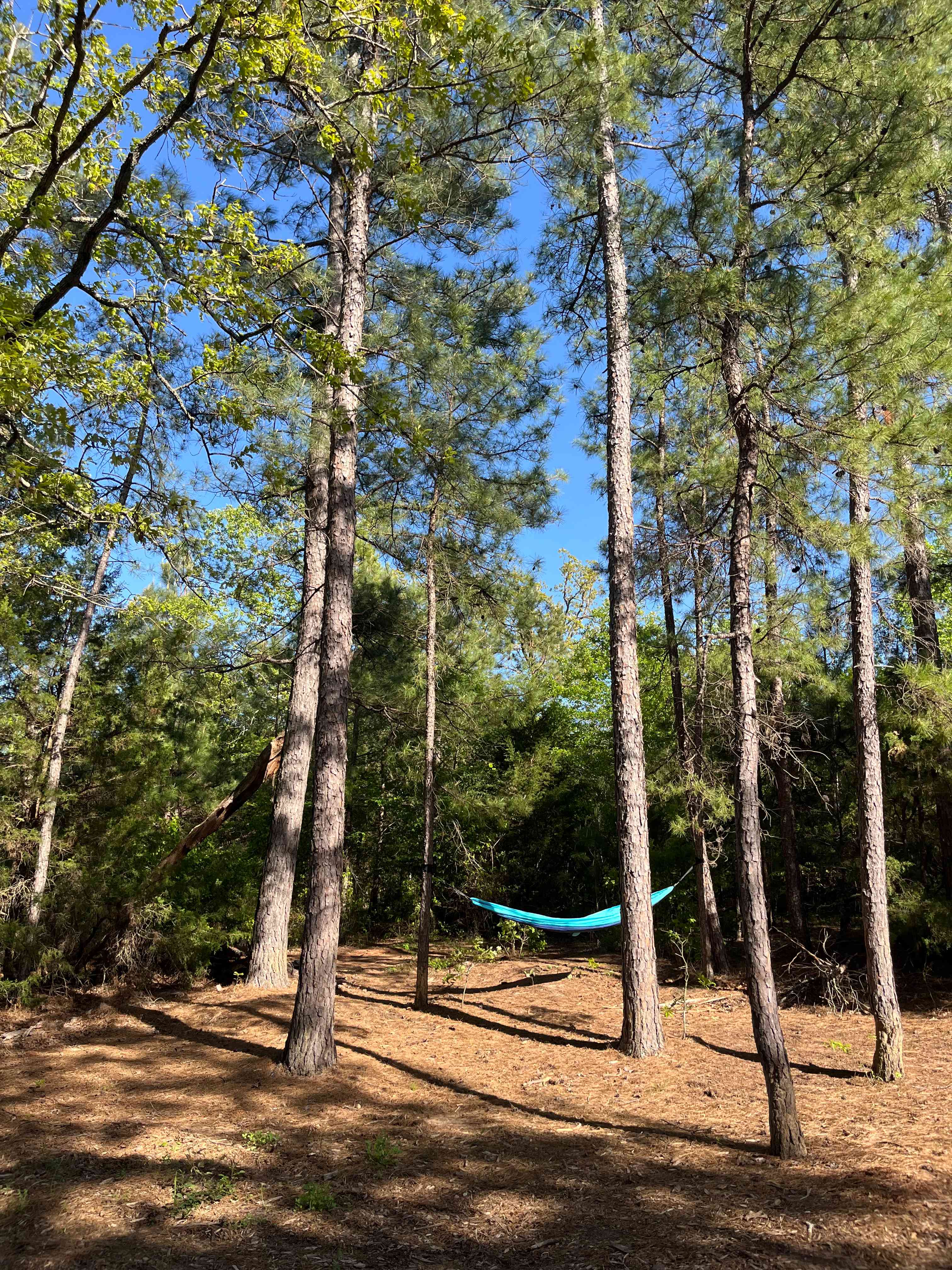 The Retreat @ Borah Farm