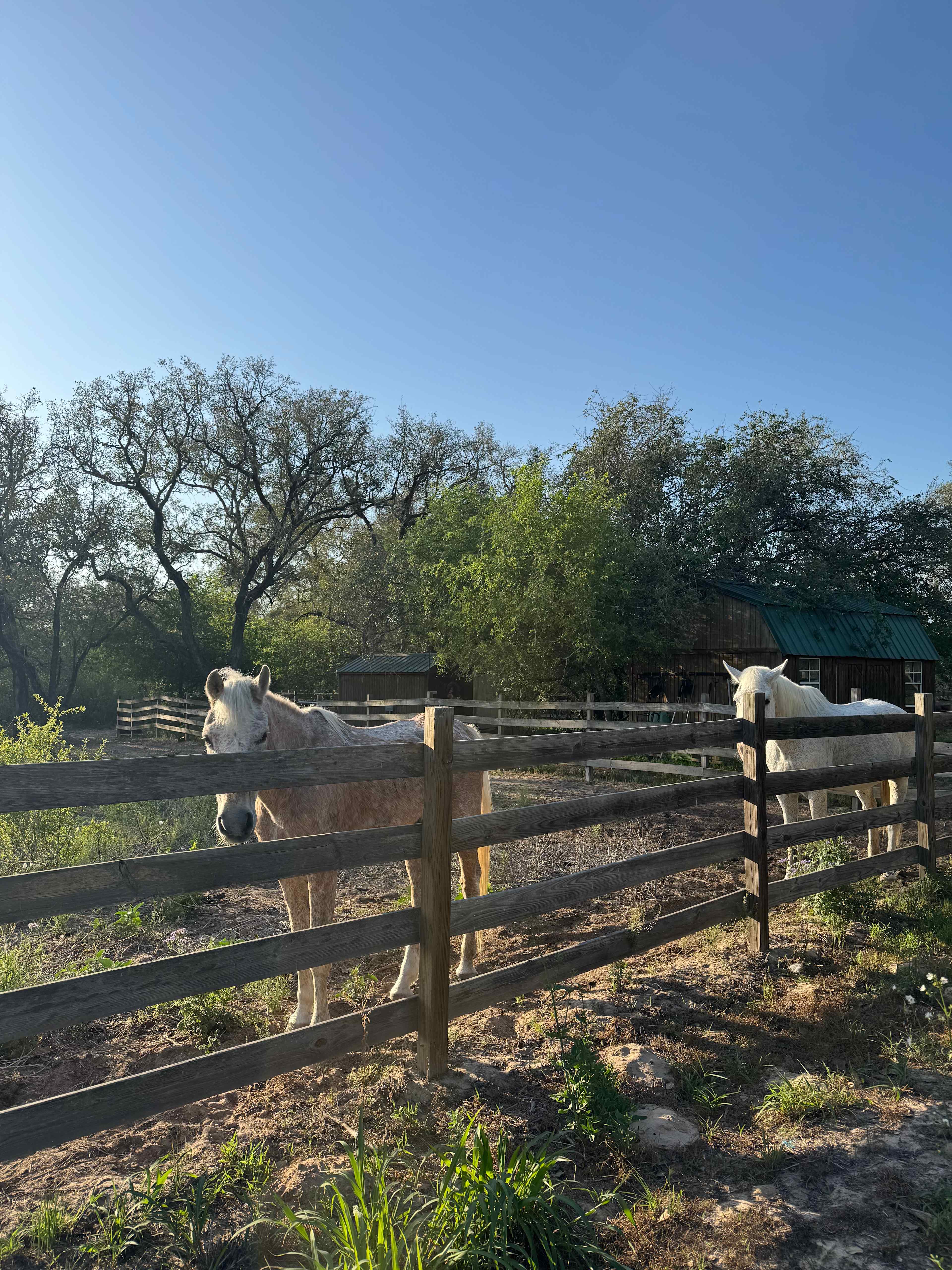 Mockingbird Farms