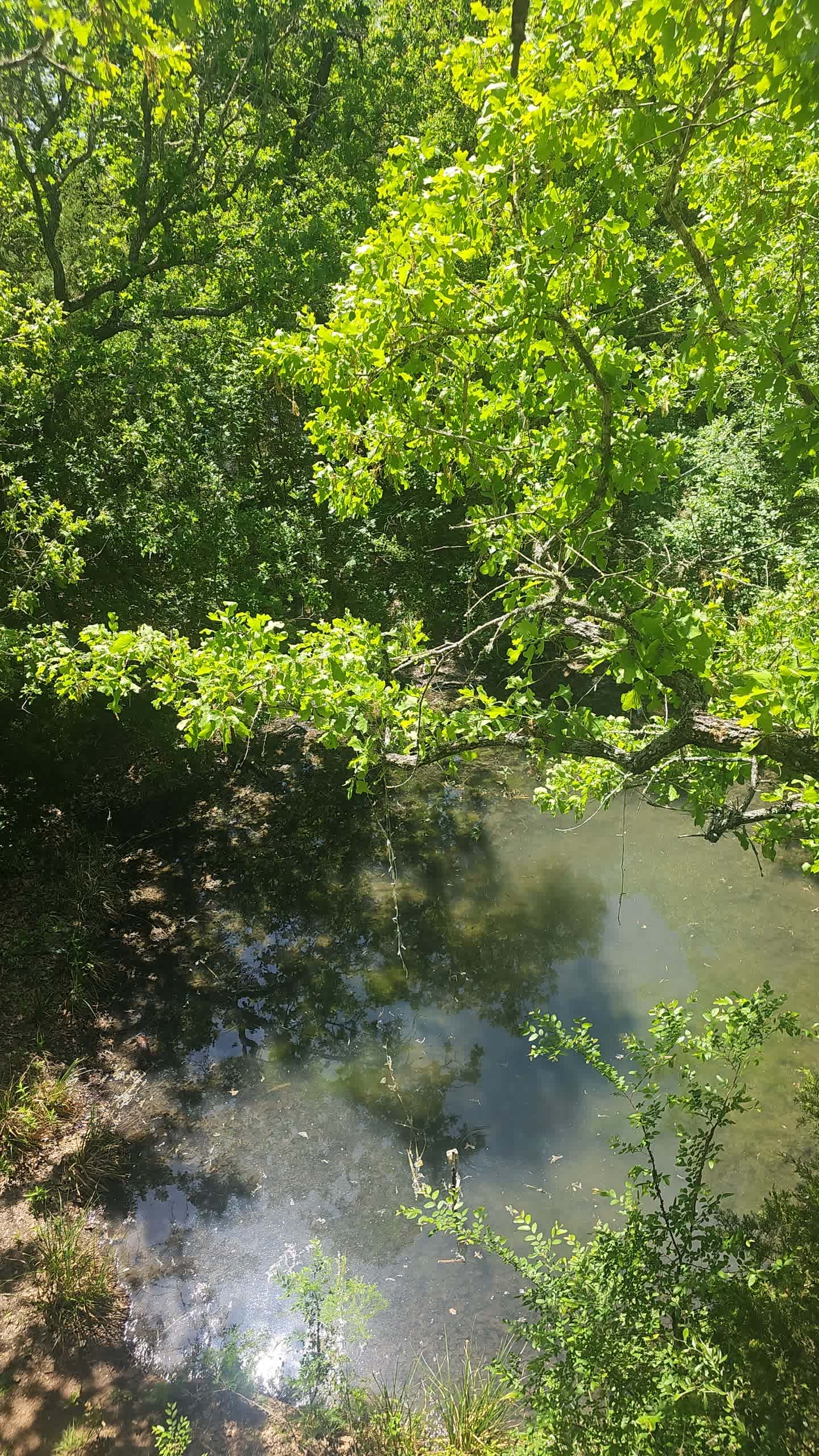 View from the top balcony 