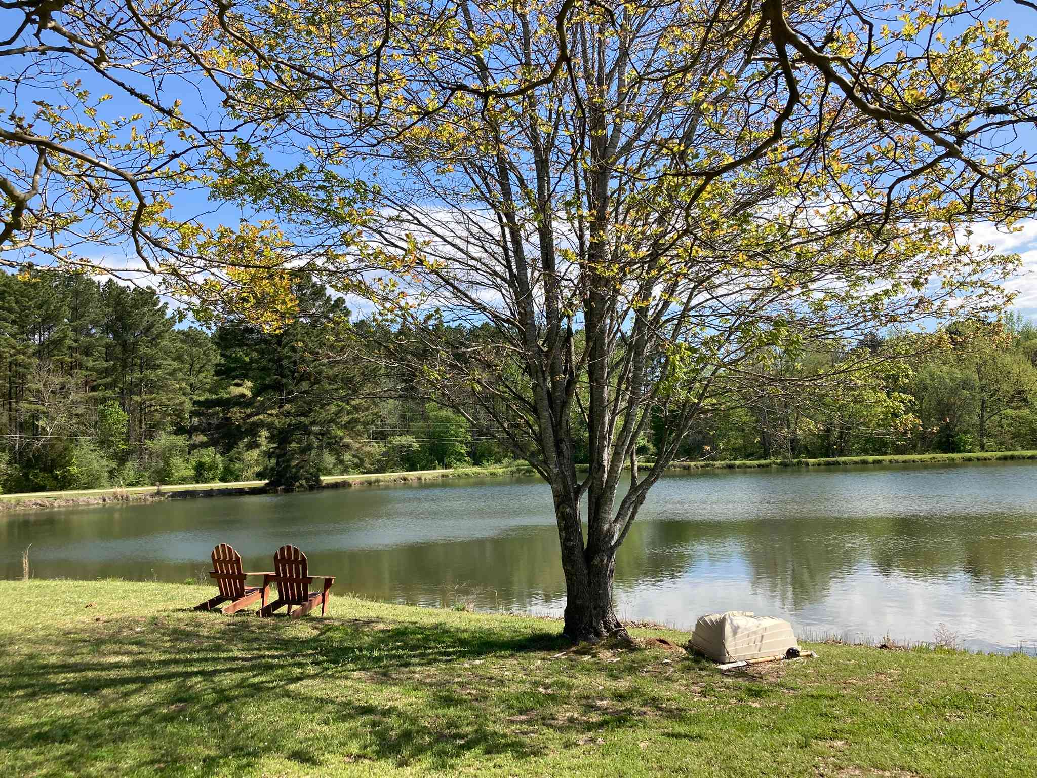 Moon Lake Farm - Camp, Fish, Relax