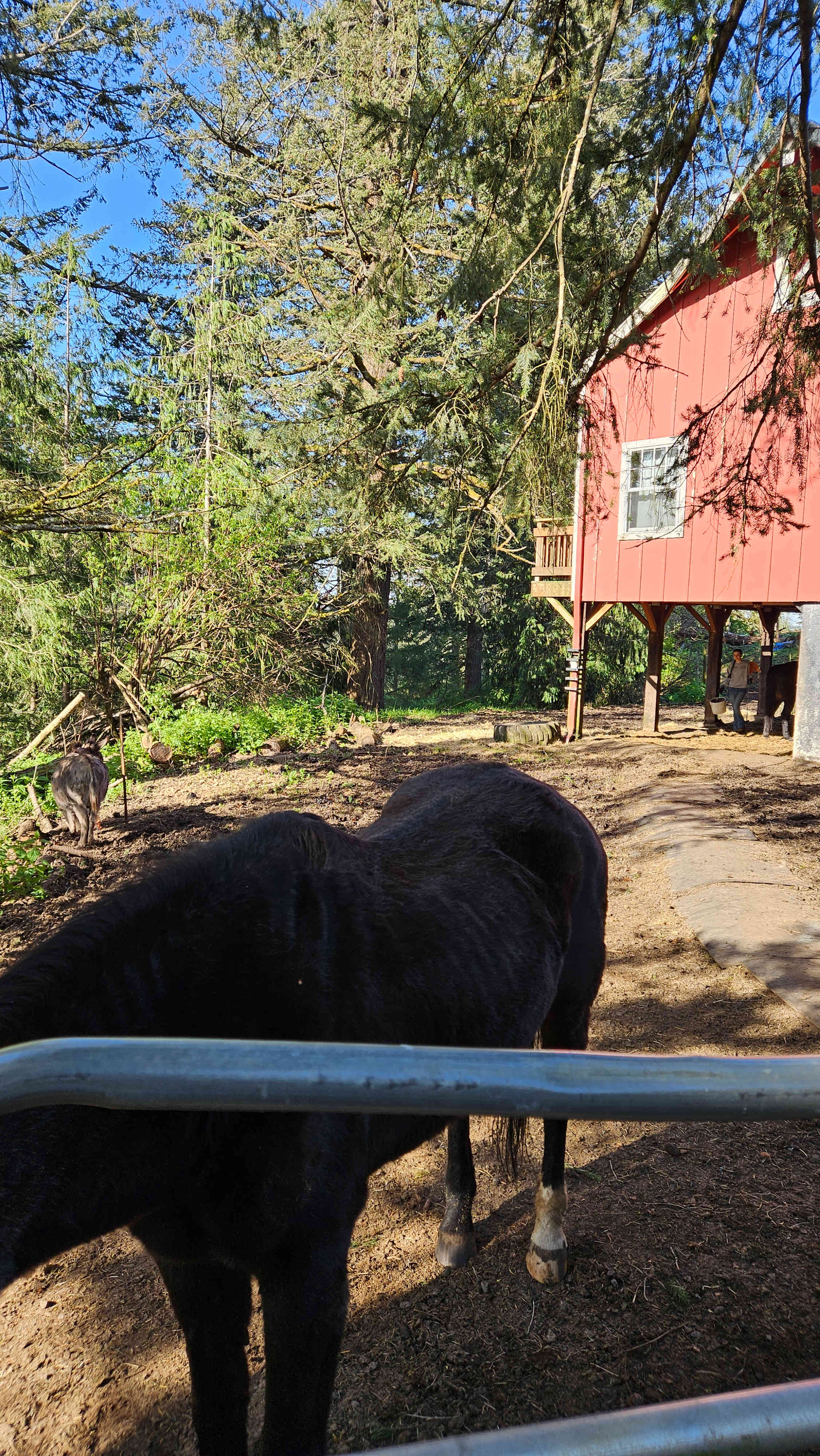 The "Farmer-For-A-Day" Program