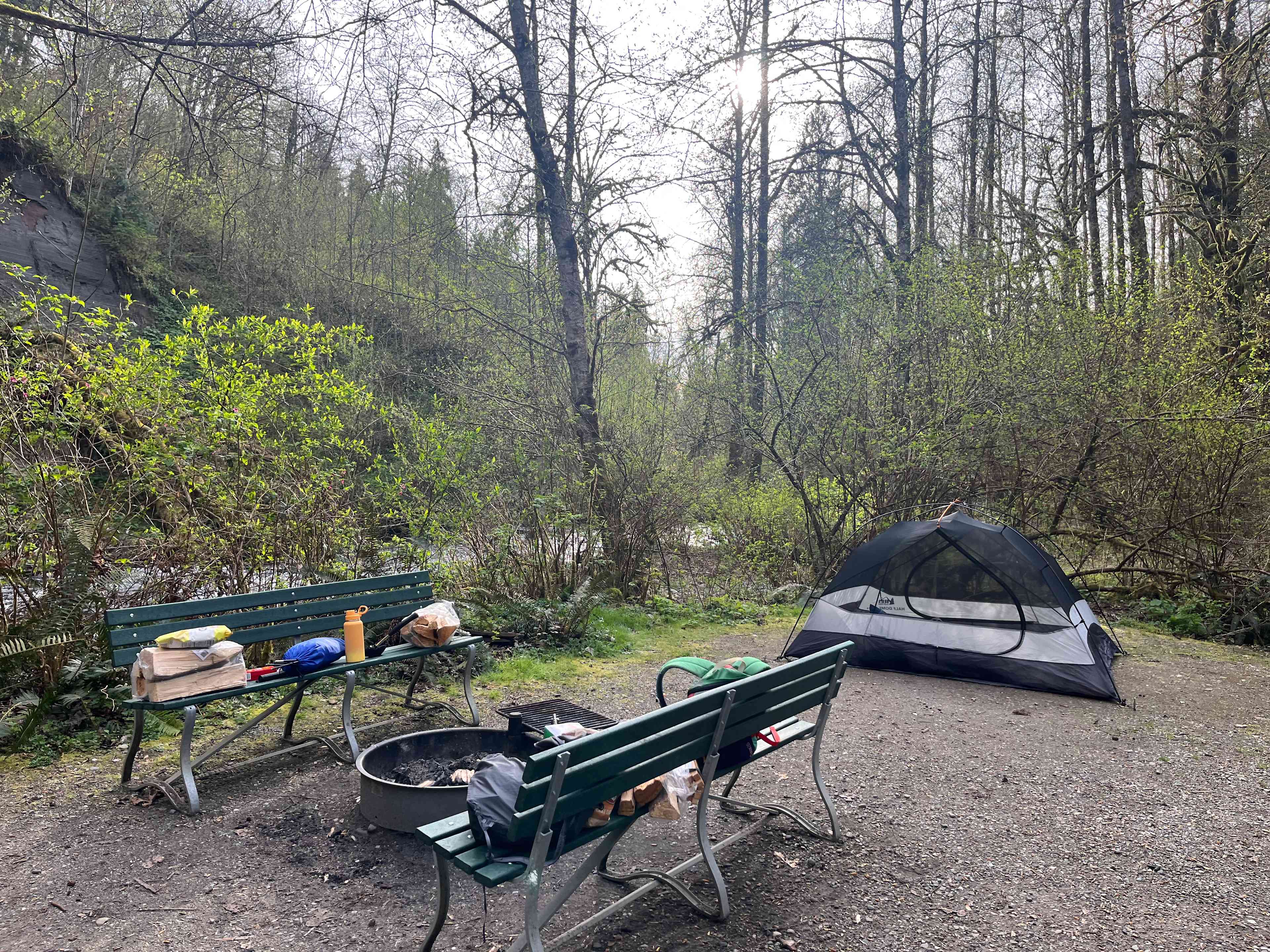 Camping in forest, next to a creek.