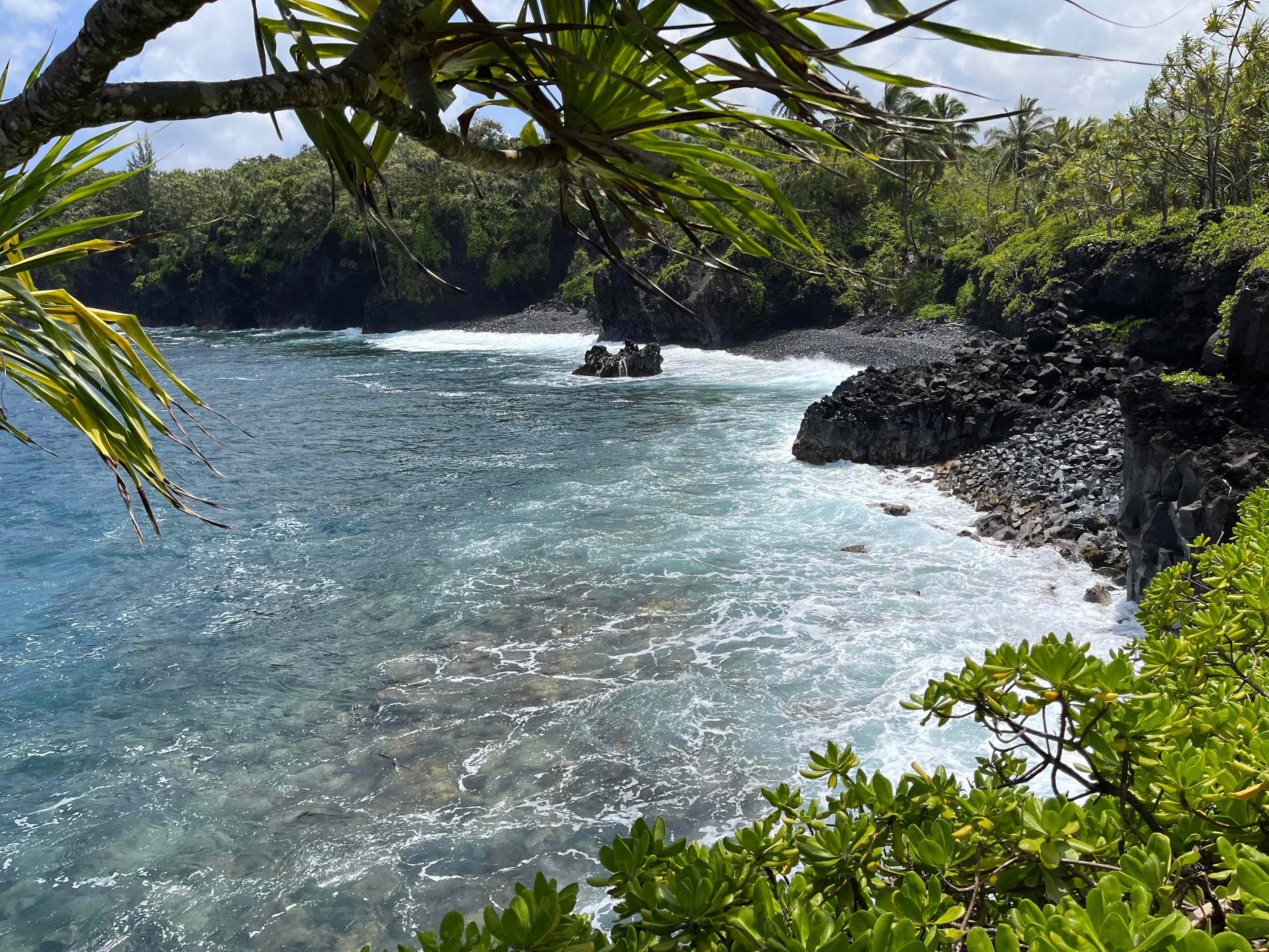 Untouched Hawaiian Land