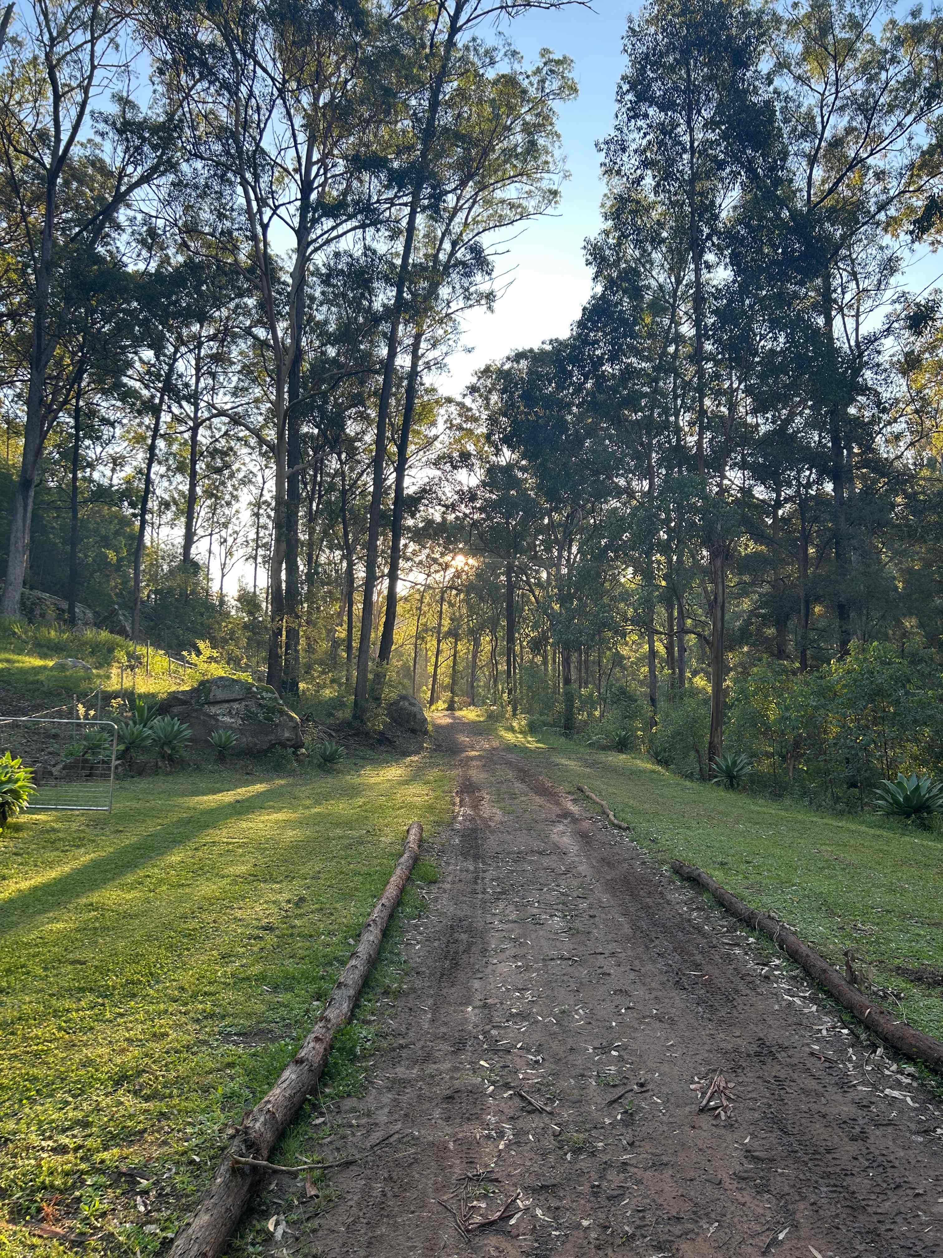 Rocky Forest Bush Retreat