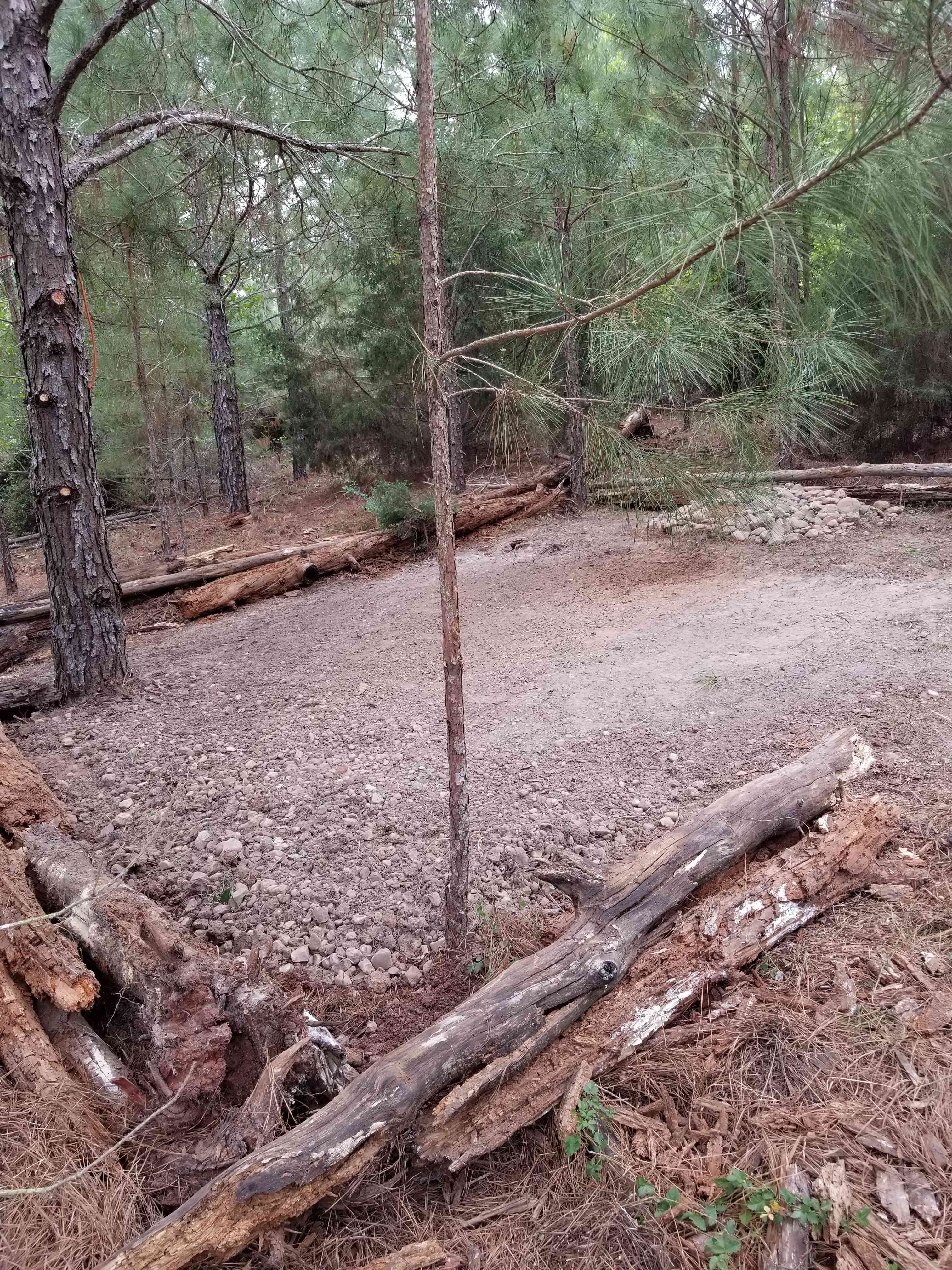Lost Pines Camping