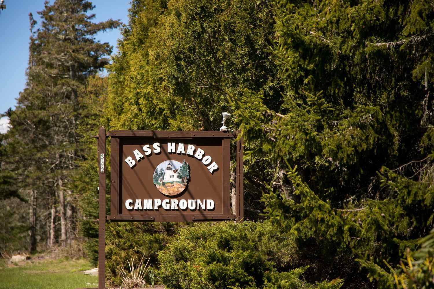 Bass Harbor Campground