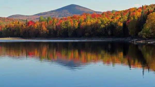 Northern Pride Lodge and Campground