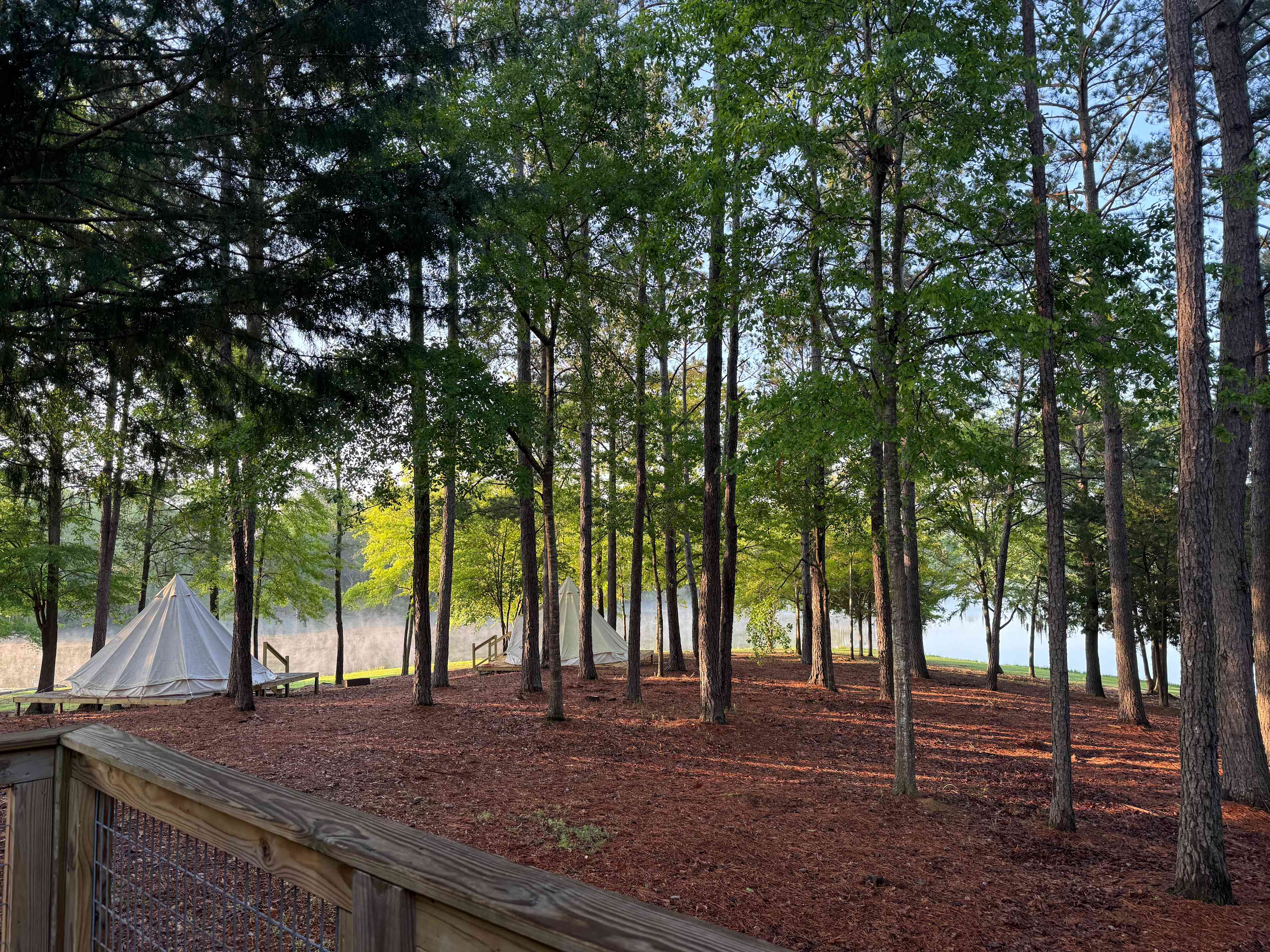 View from the back porch