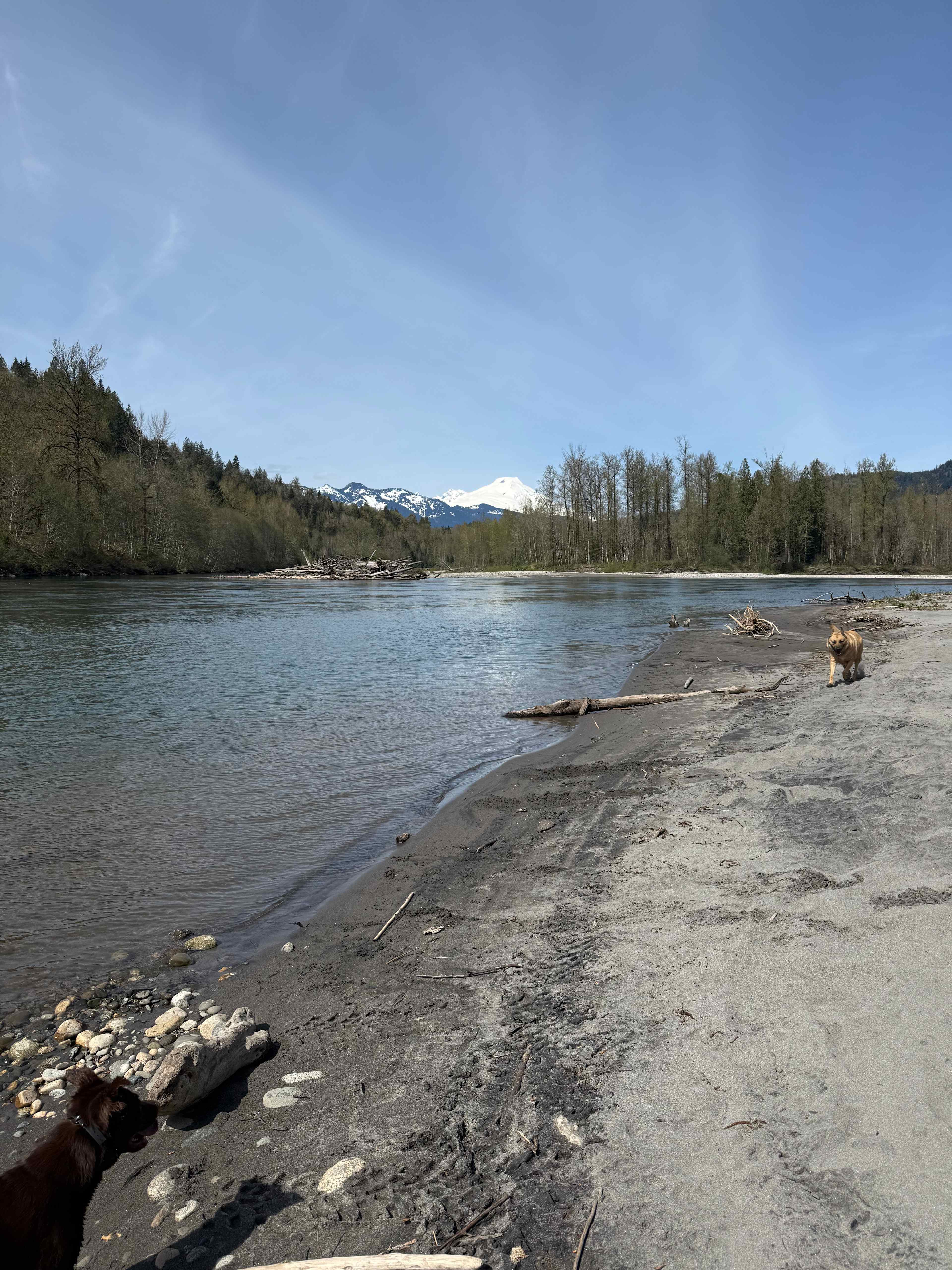 Reverence River Property